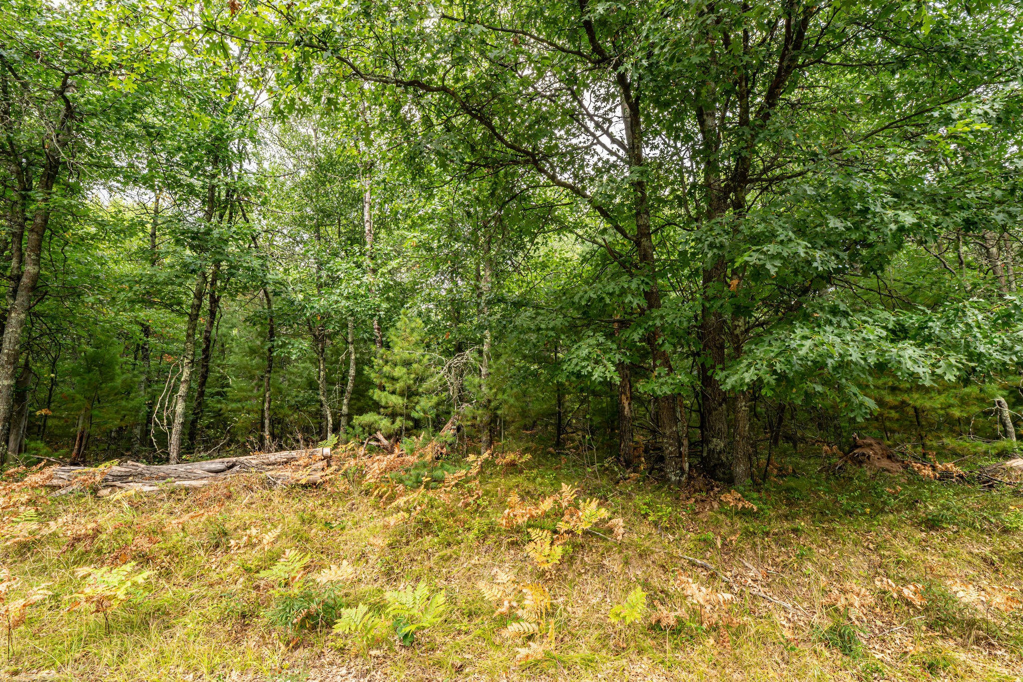 001 Birch Lake Road Property Photo 1