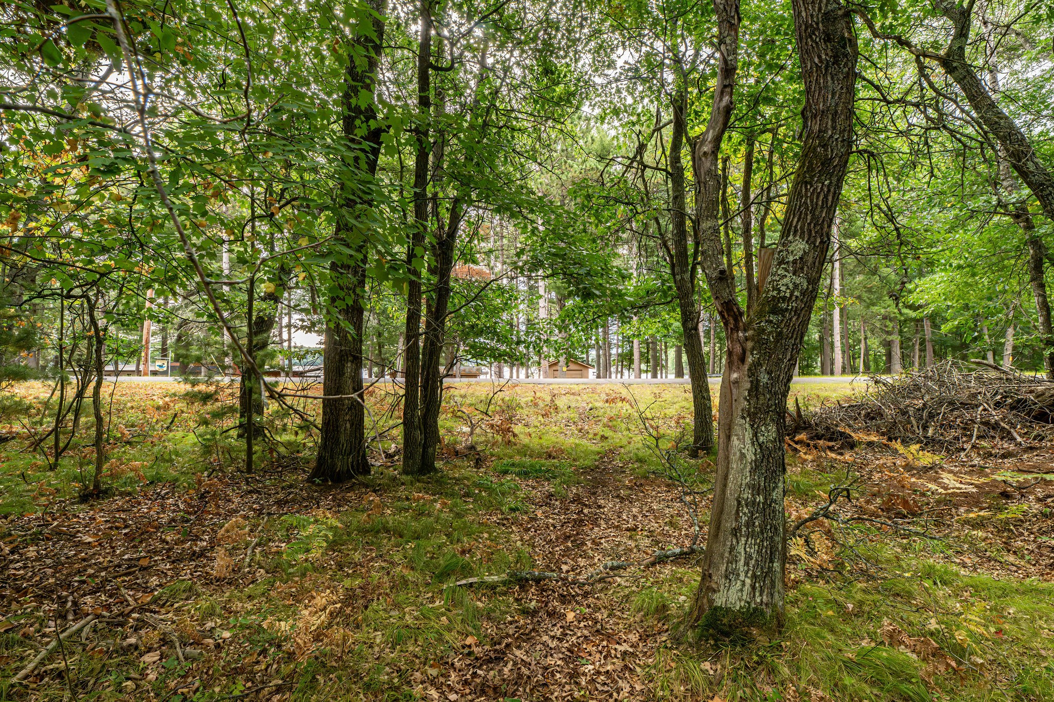 001 Birch Lake Road Property Photo 6