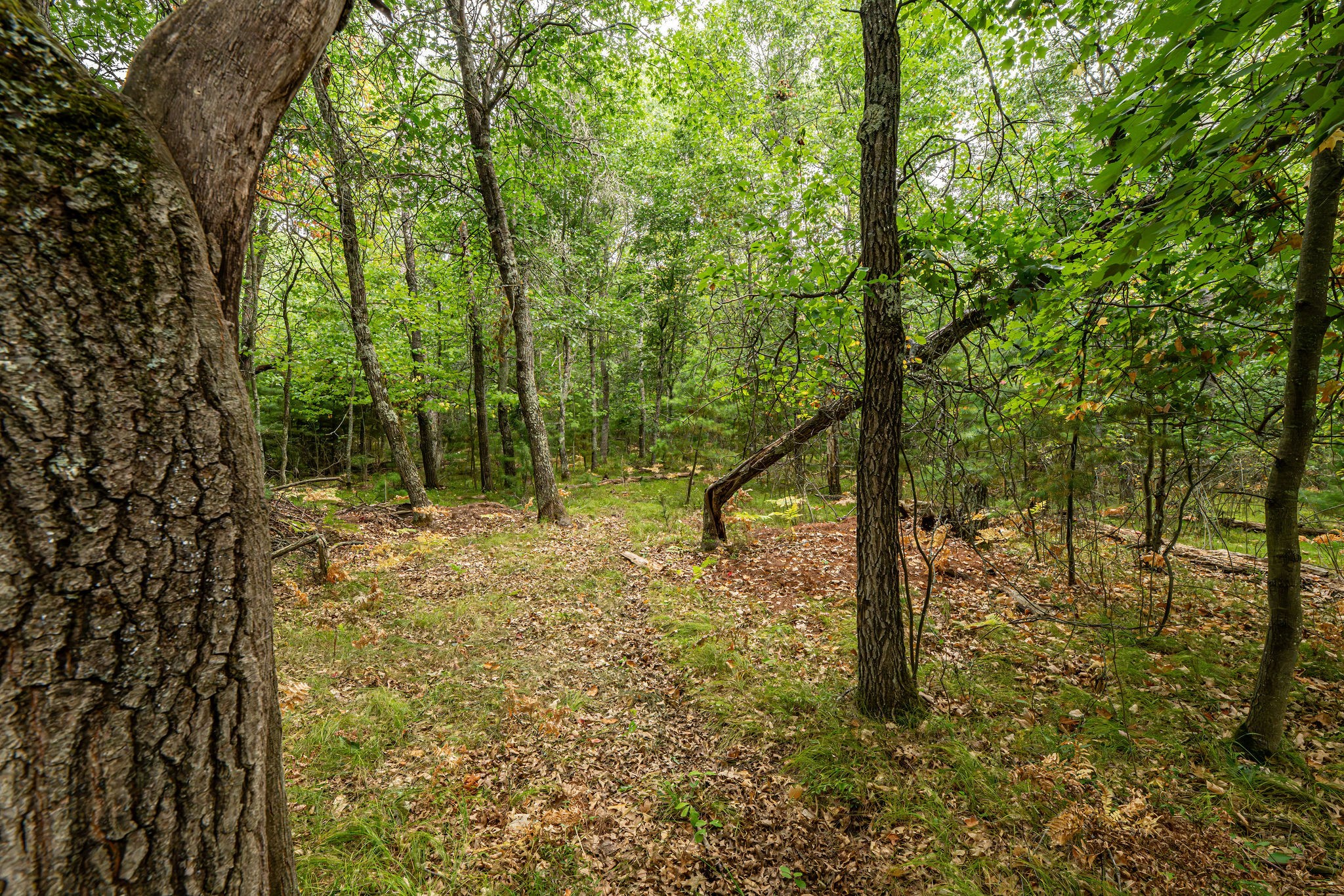 001 Birch Lake Road Property Photo 7