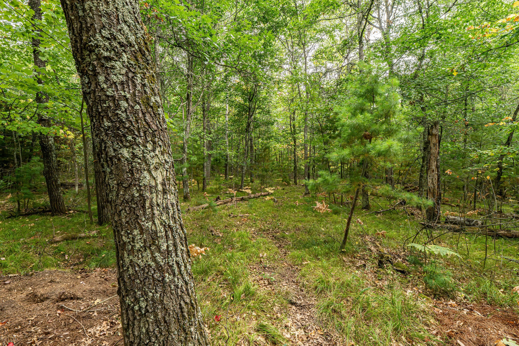 001 Birch Lake Road Property Photo 9