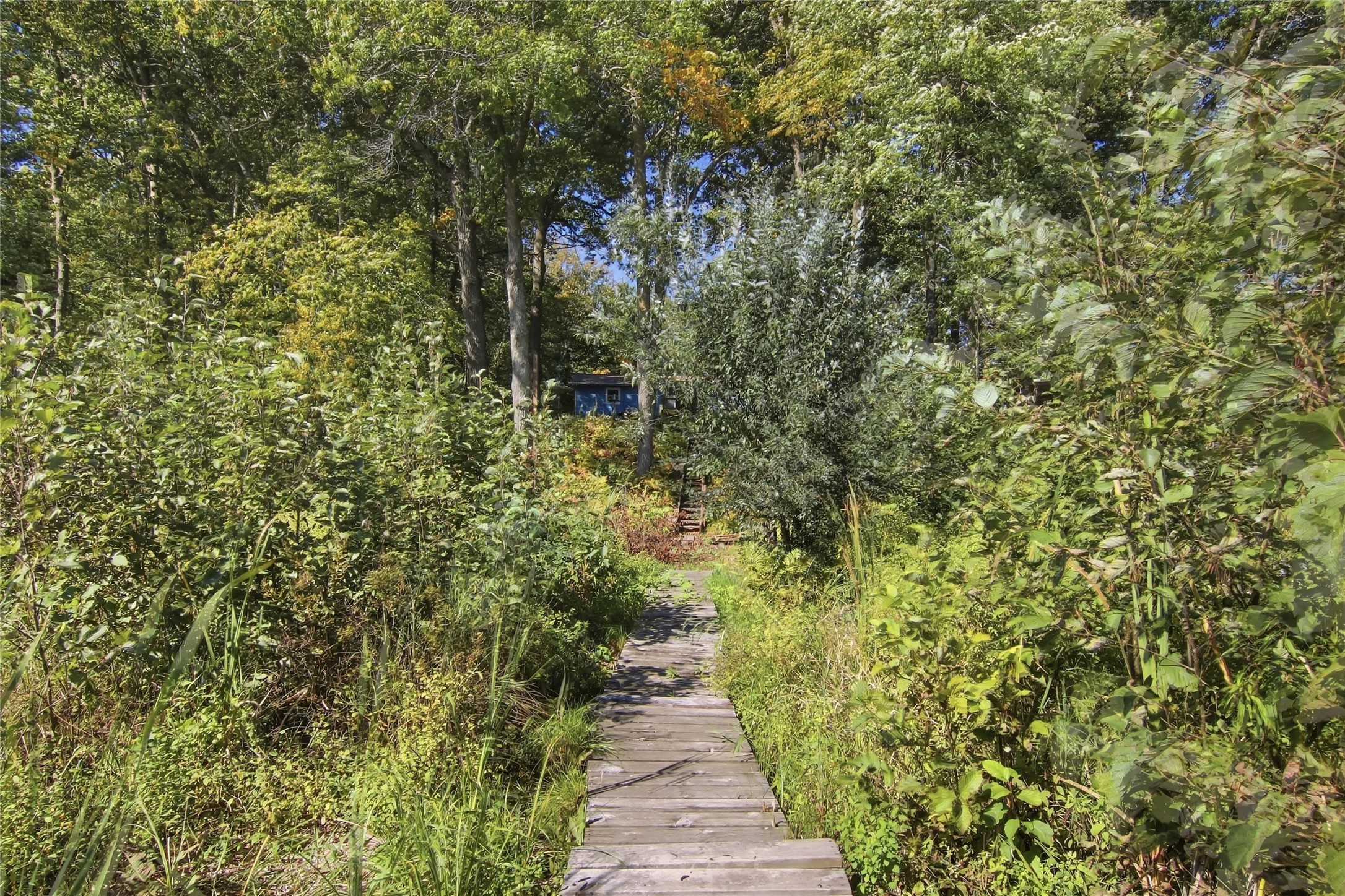N2934 Jesse Road Property Photo 35