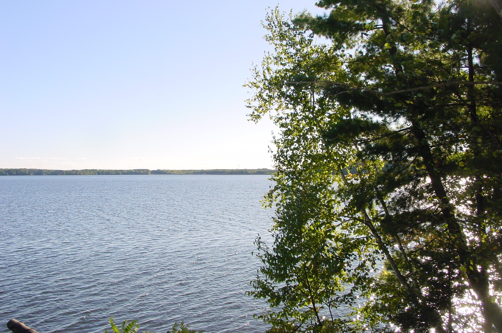 Lot 6 Mae West Road Property Photo 1