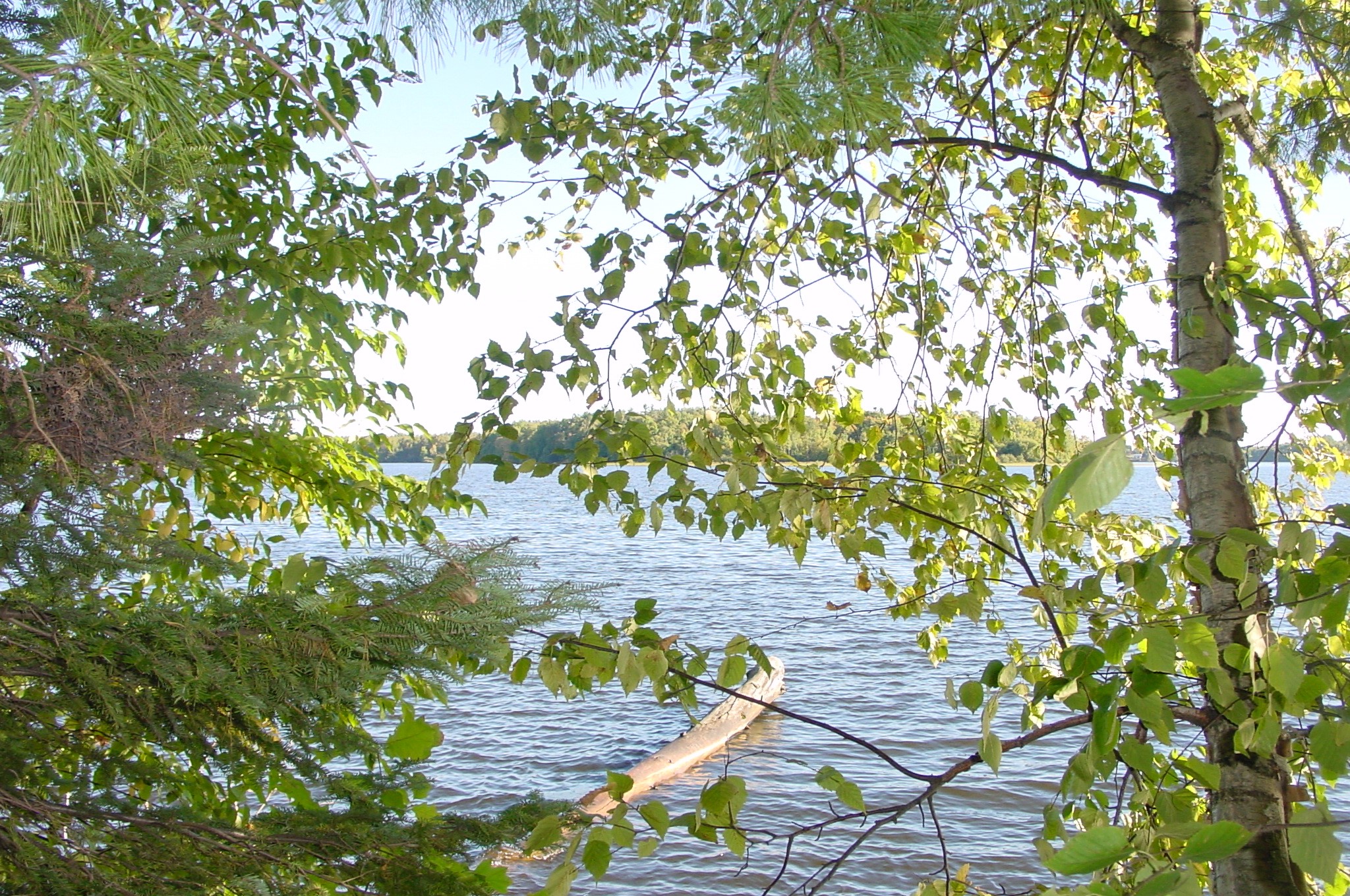 Lot 6 Mae West Road Property Photo 2