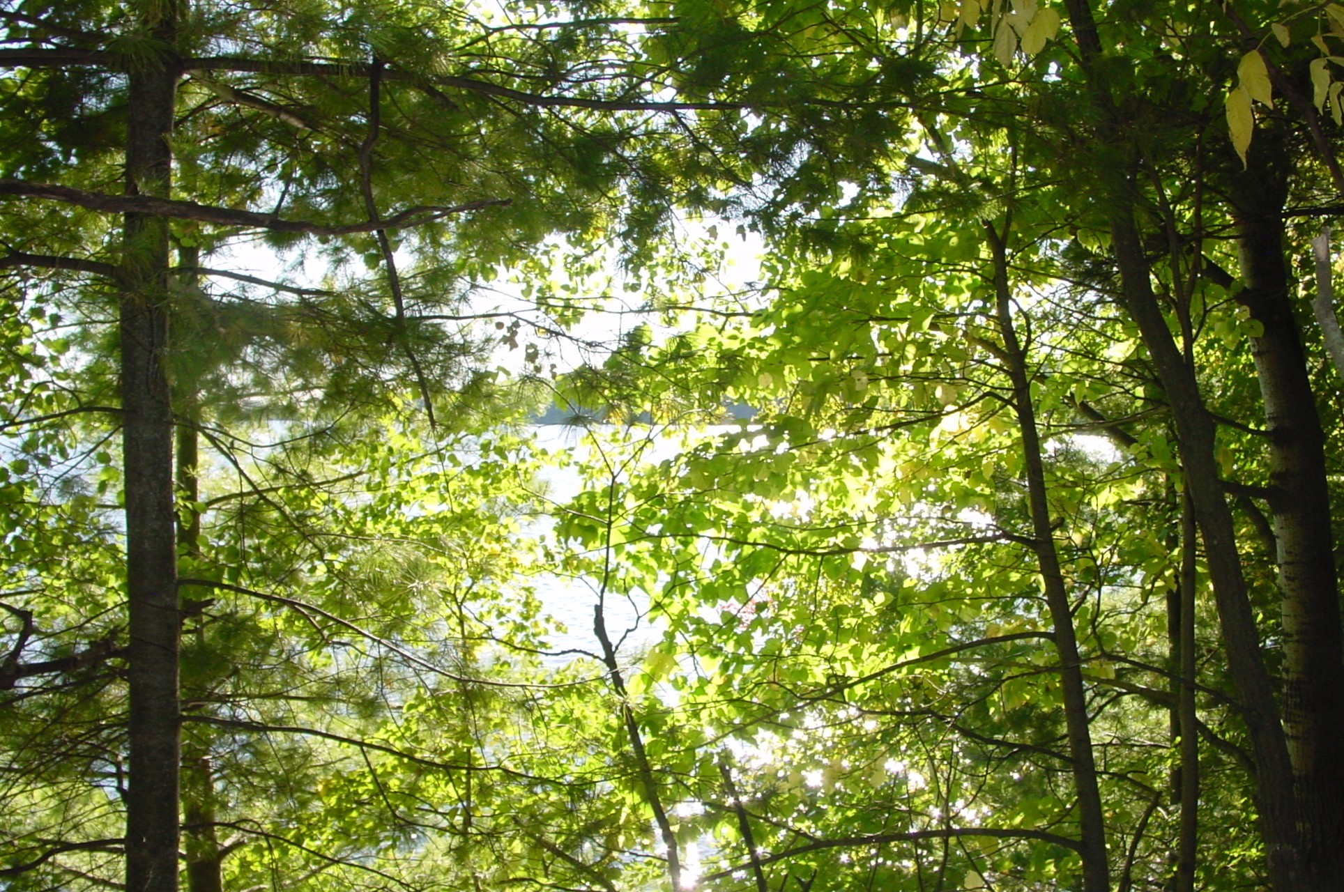 Lot 6 Mae West Road Property Photo 7