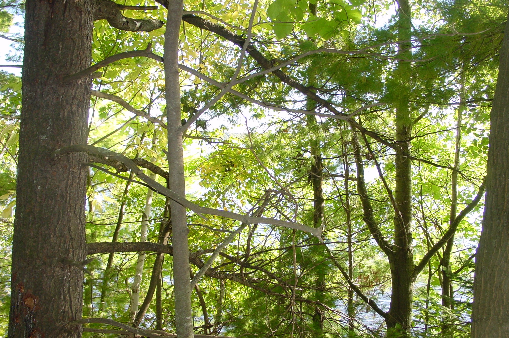 Lot 6 Mae West Road Property Photo 8