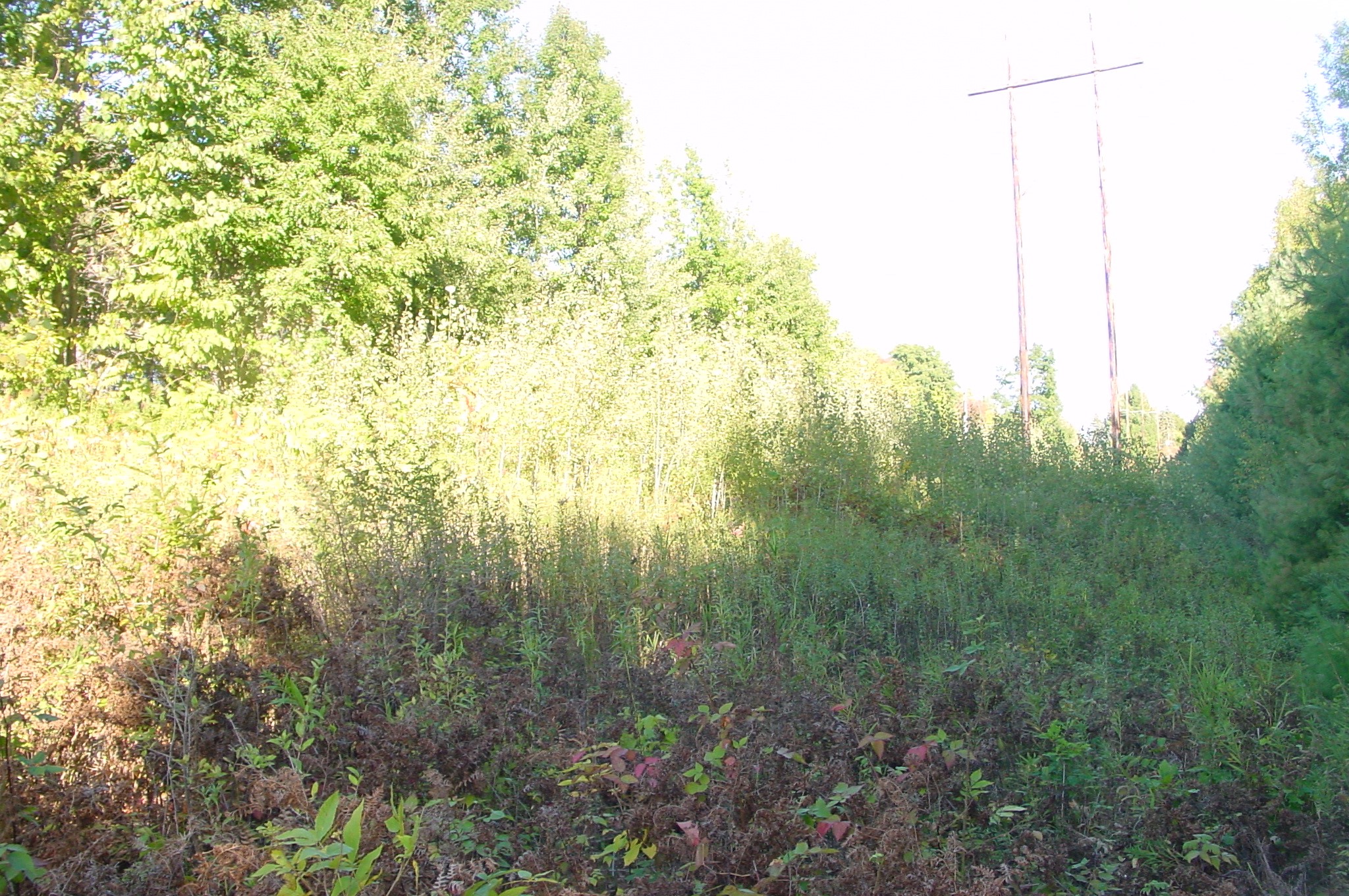Lot 6 Mae West Road Property Photo 12