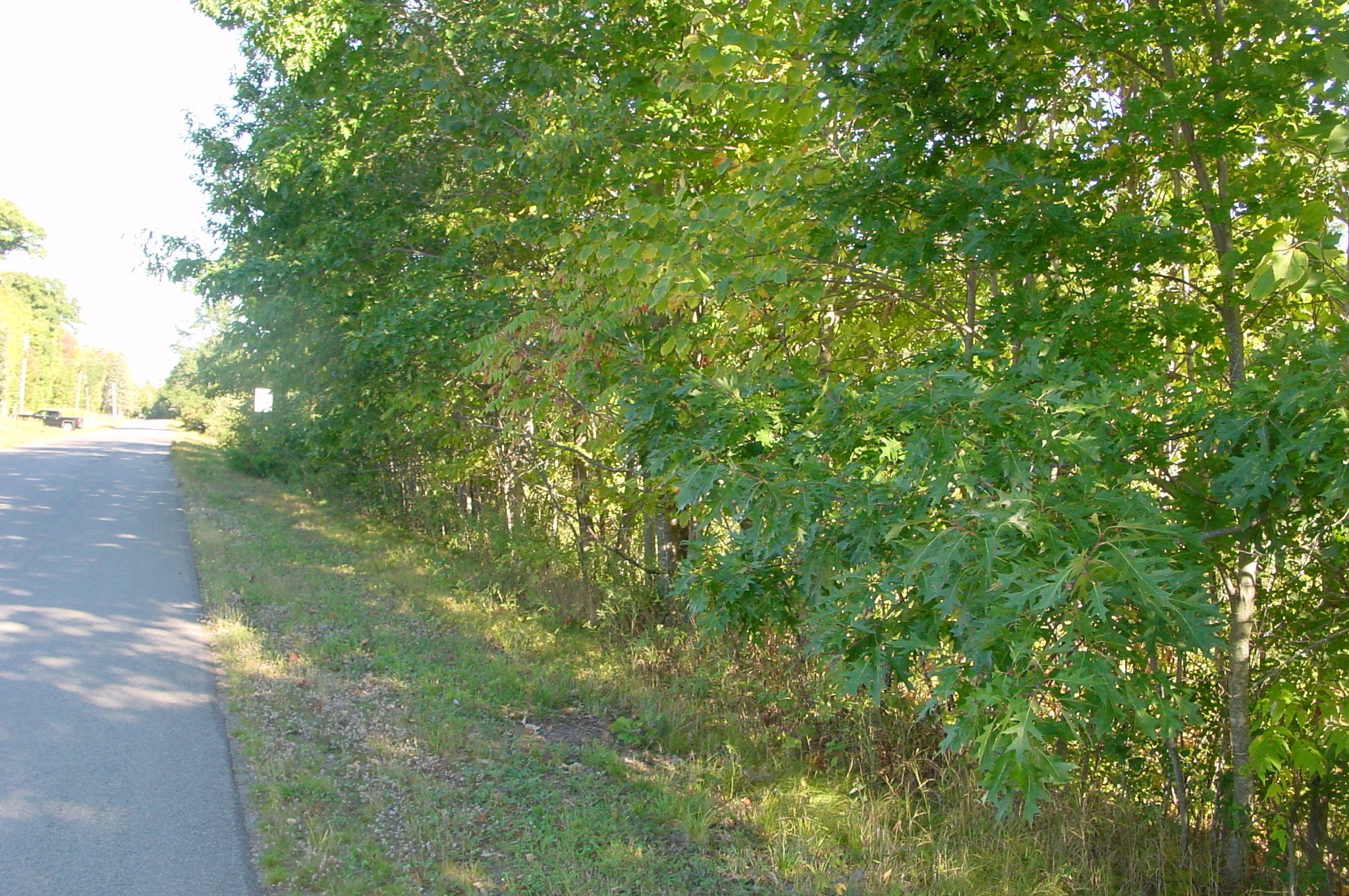 Lot 6 Mae West Road Property Photo 13