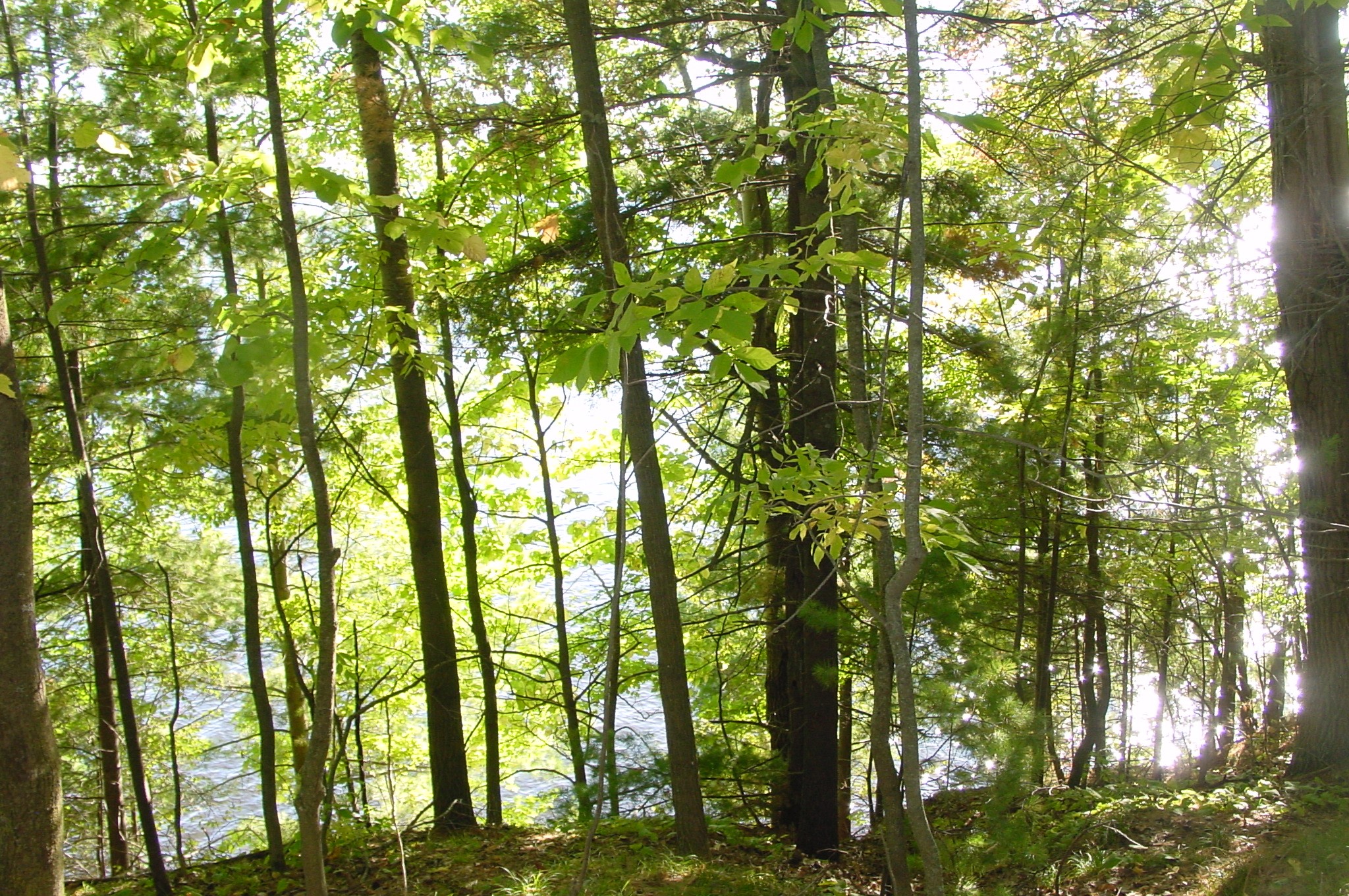 Lot 6 Mae West Road Property Photo 16