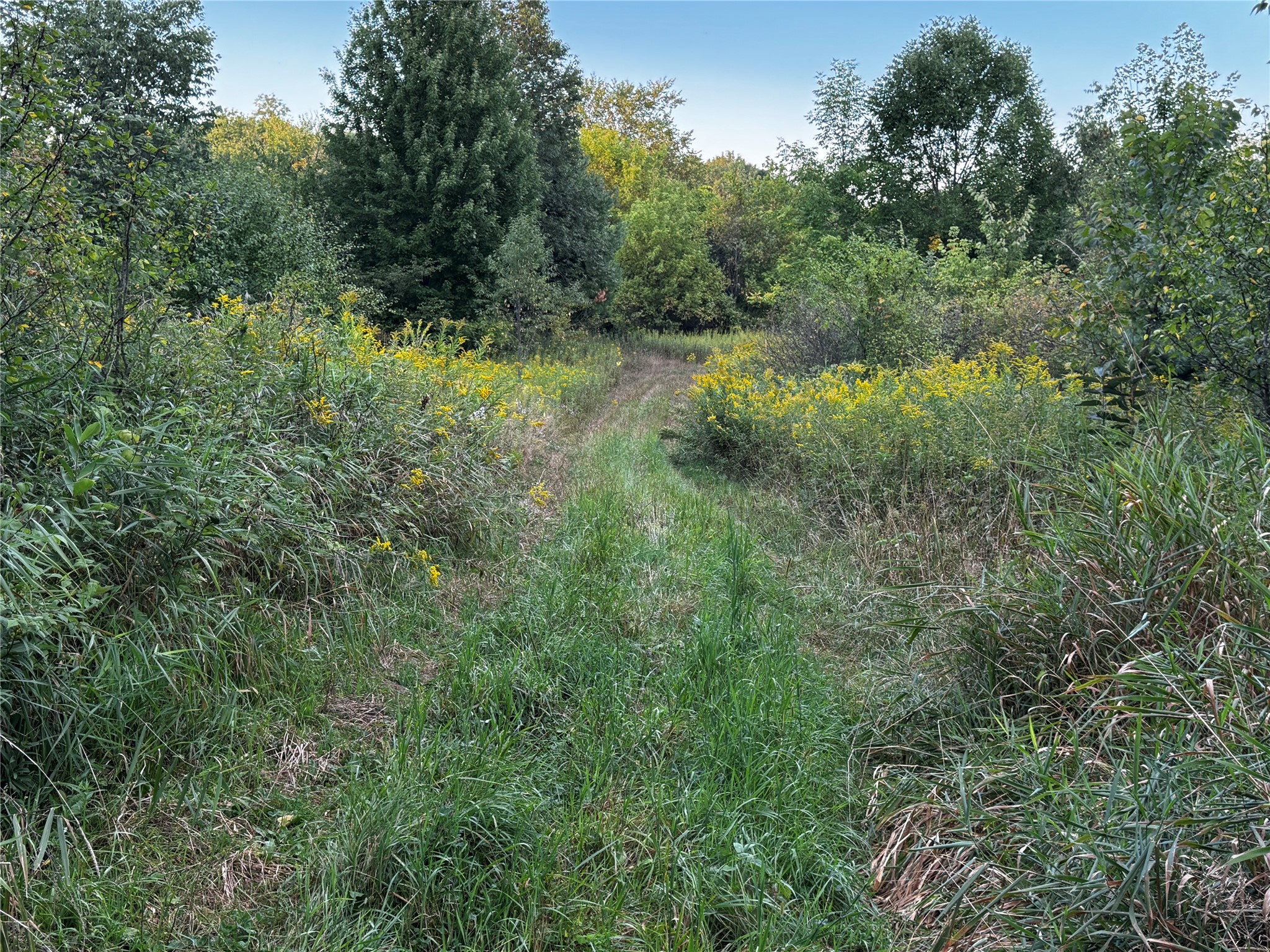 Xx 340th Avenue Property Photo 19
