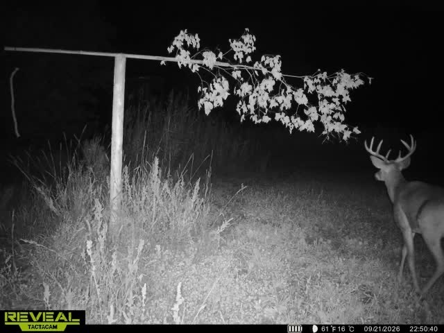 Xx 340th Avenue Property Photo 22