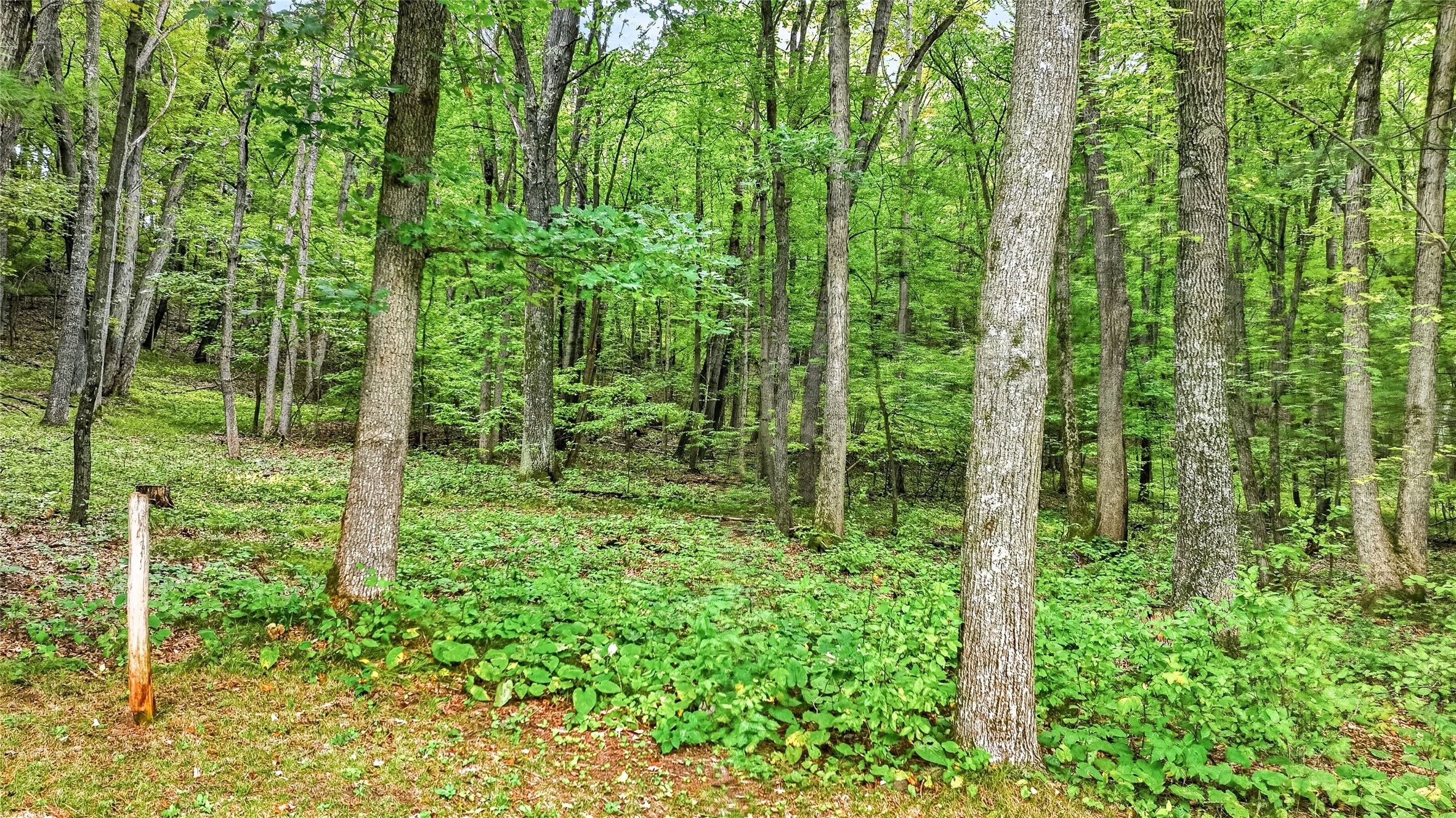 N9278 State Road 25 Property Photo 10