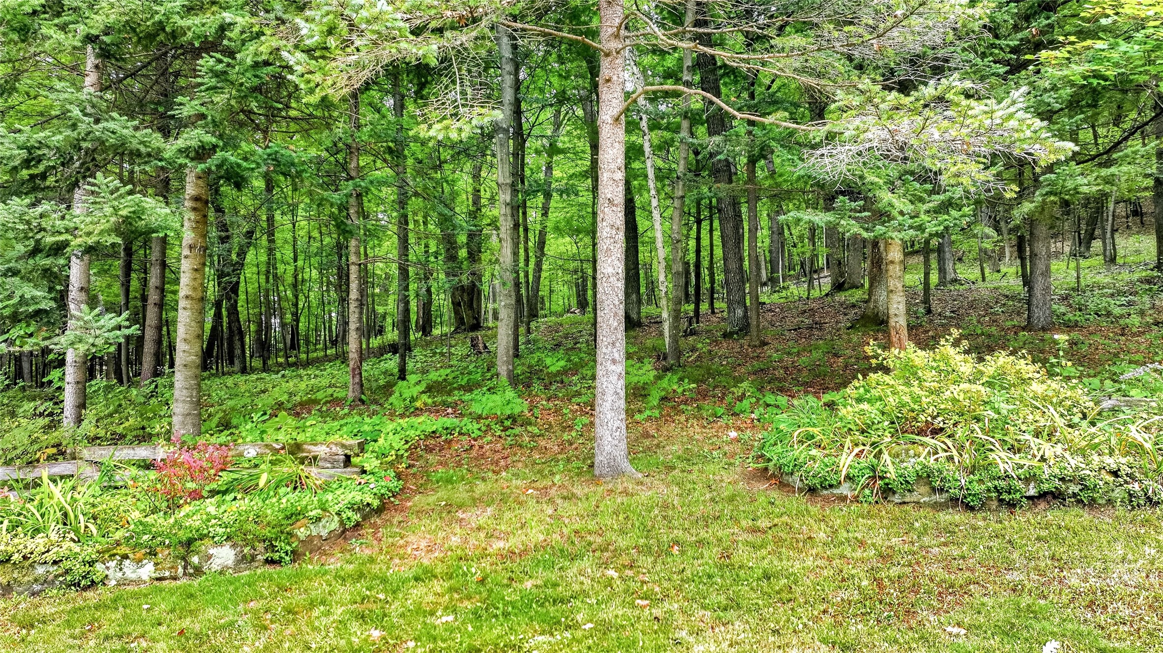N9278 State Road 25 Property Photo 16