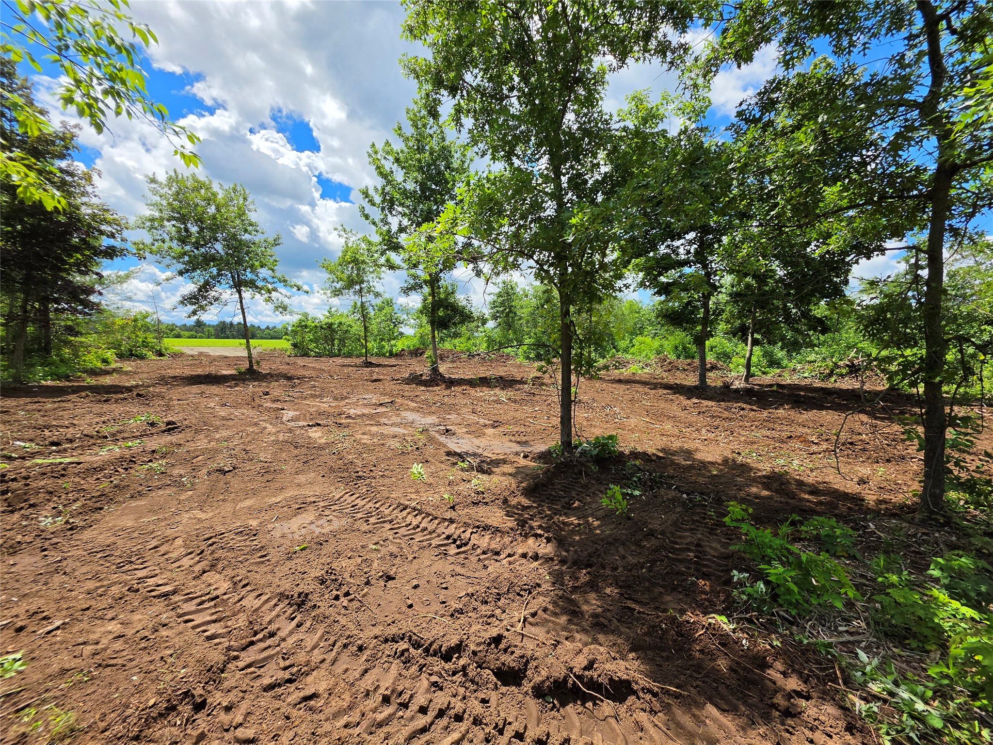 Lot 8 370th Avenue Property Photo 6