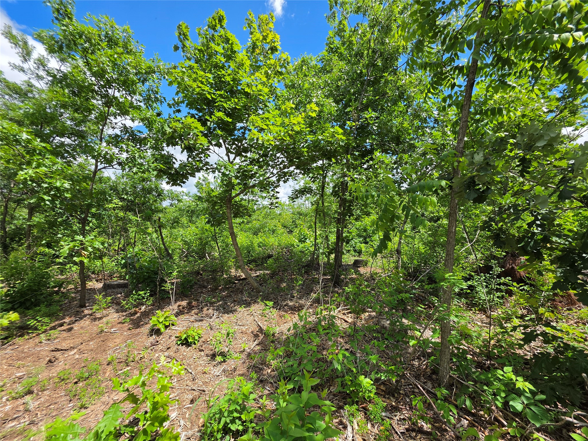 Lot 8 370th Avenue Property Photo 9