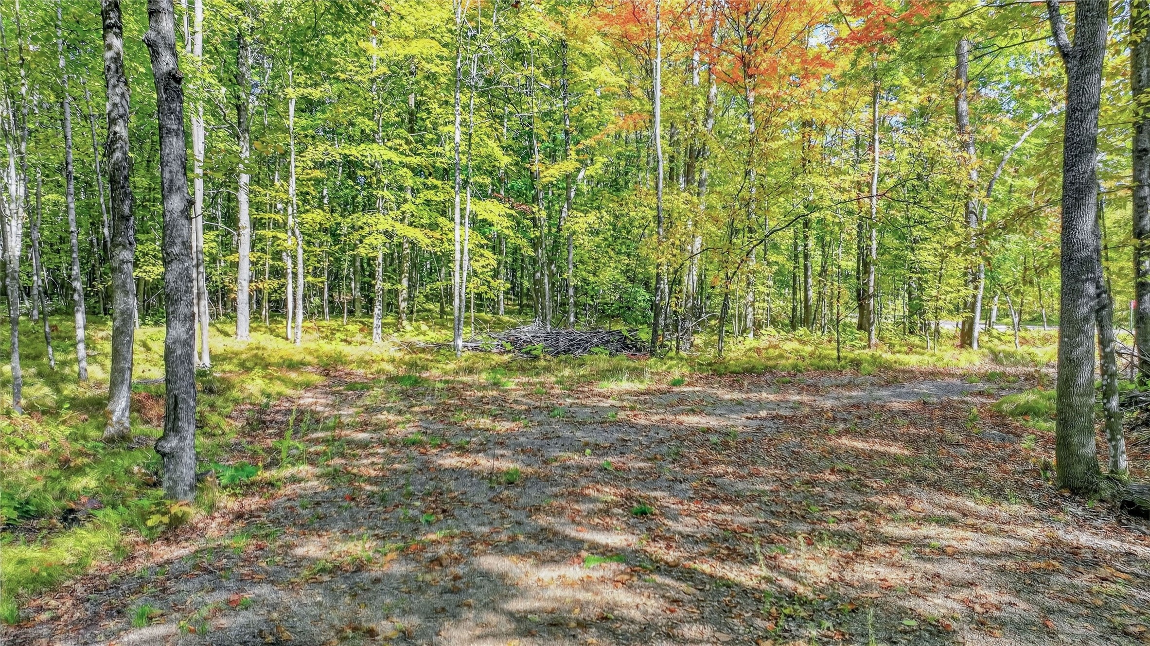 8087n Universal Drive Property Photo 6