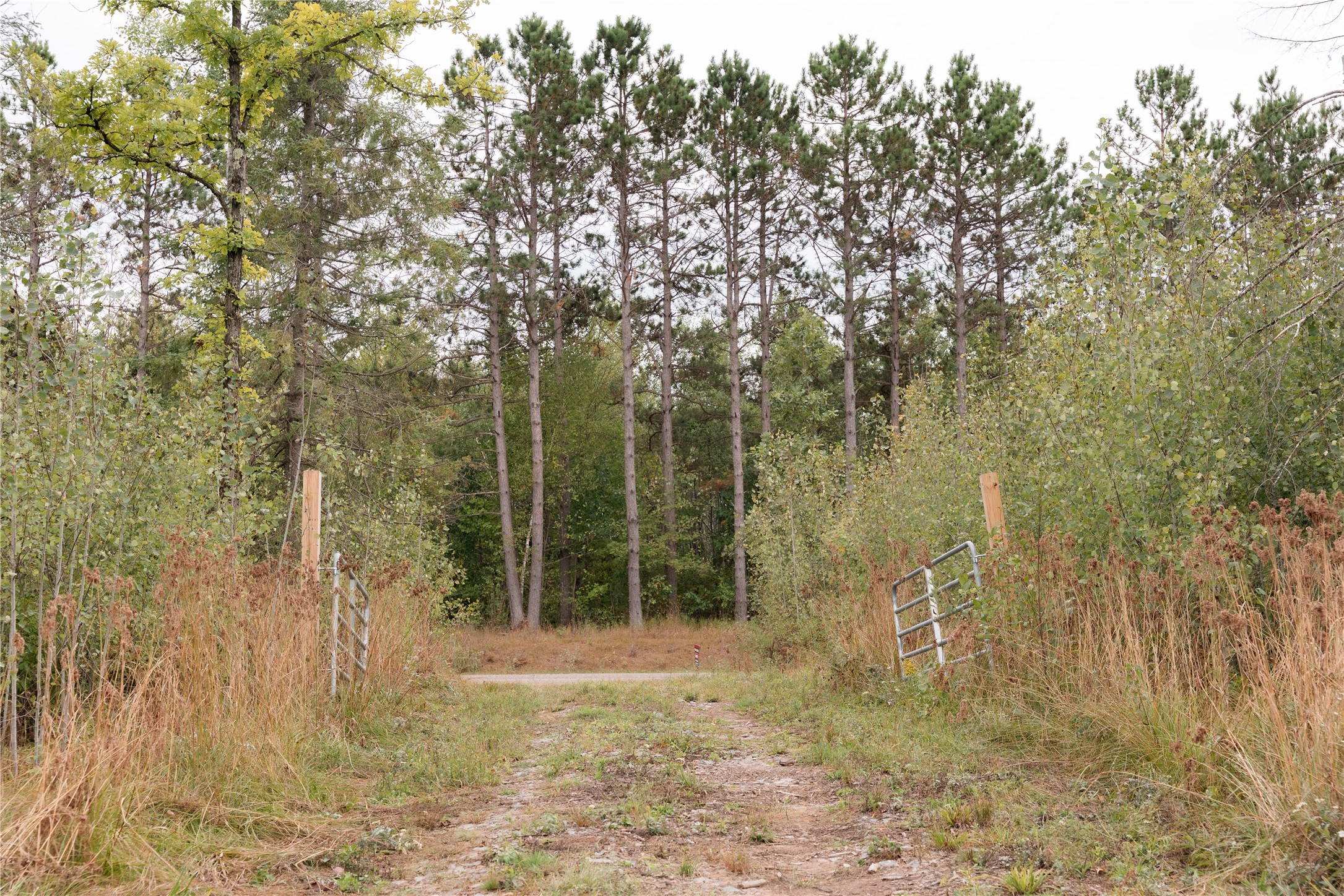 0 Girod Road Property Photo 8