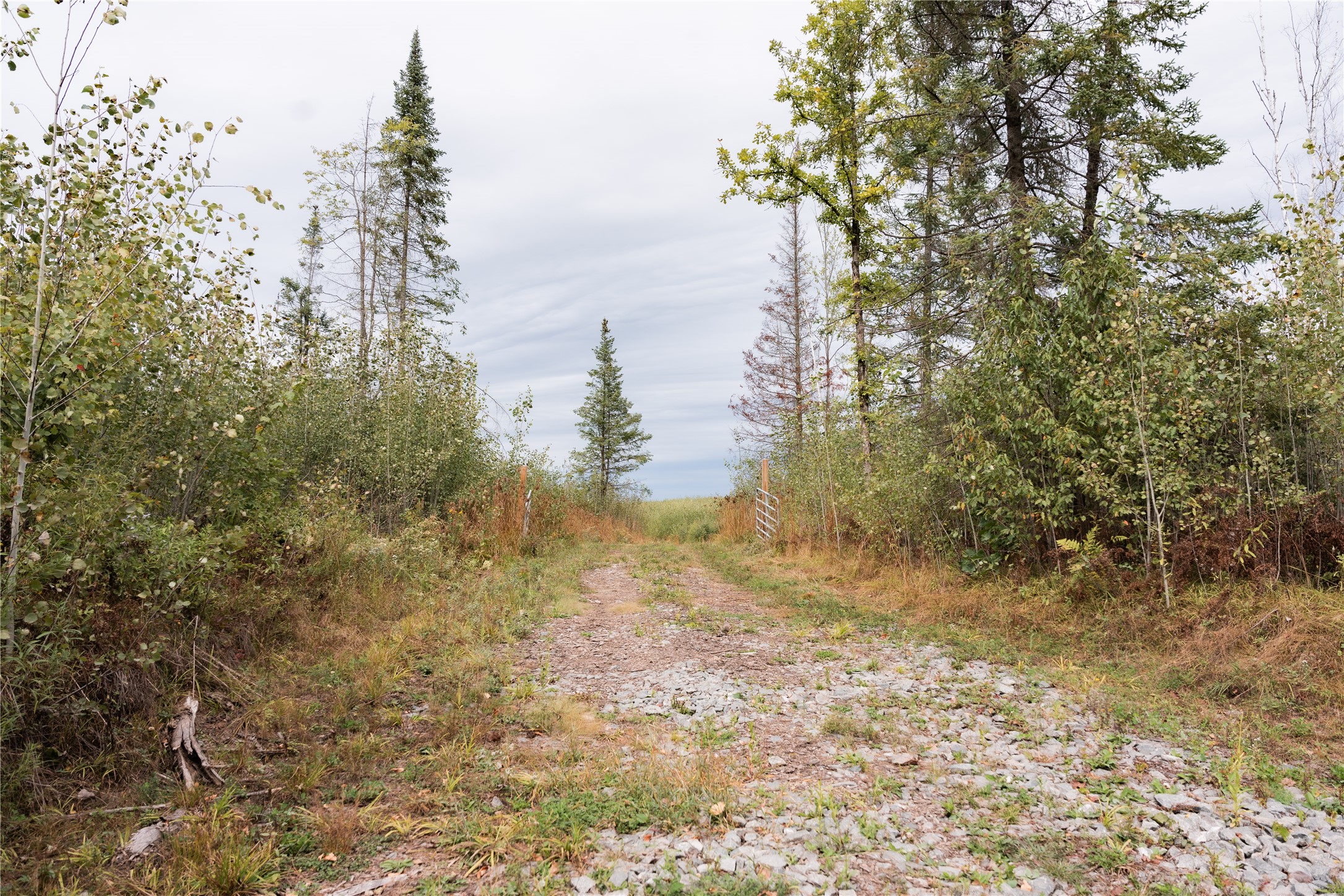 0 Girod Road Property Photo 18