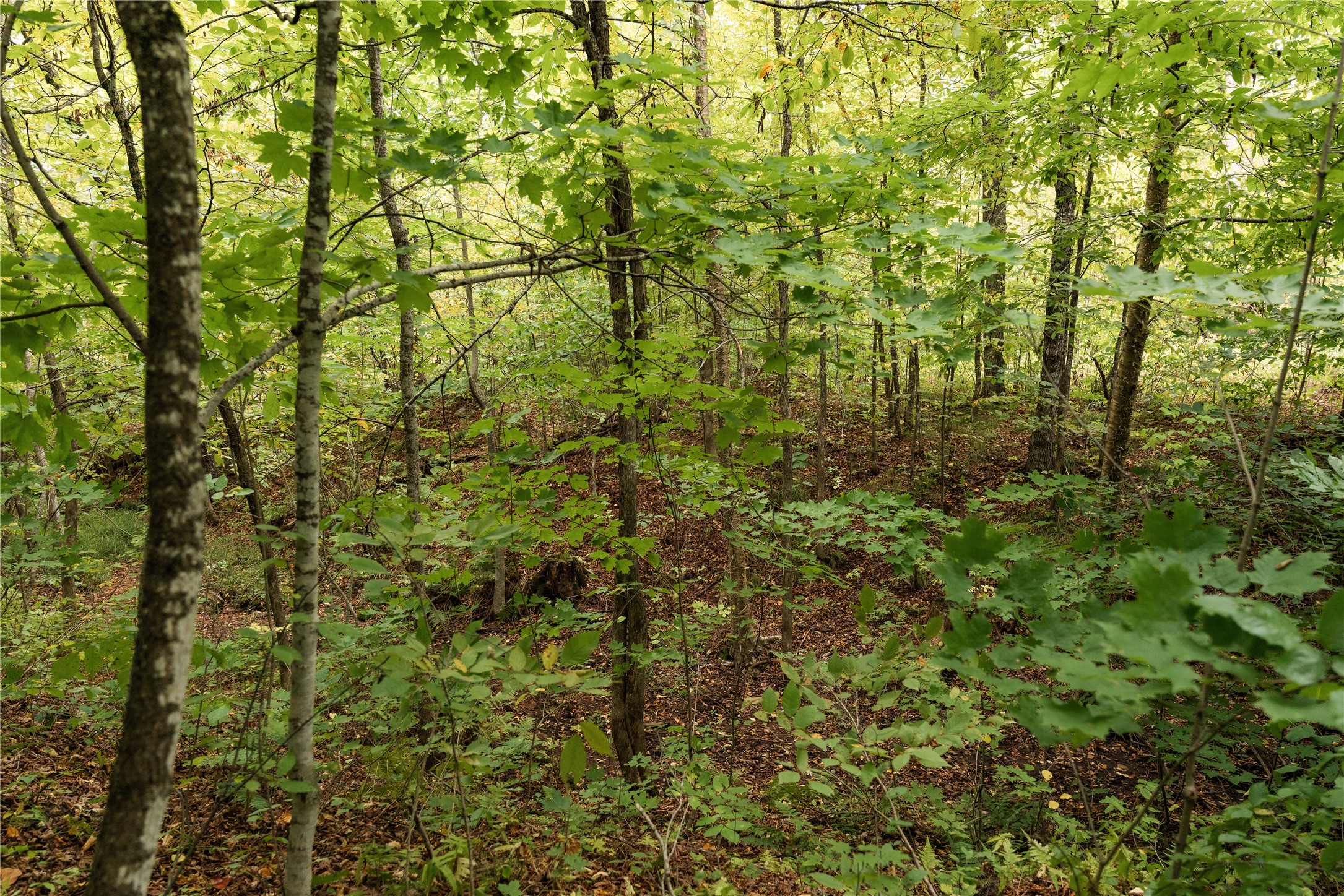 0 W Lakeview Lane Property Photo 21