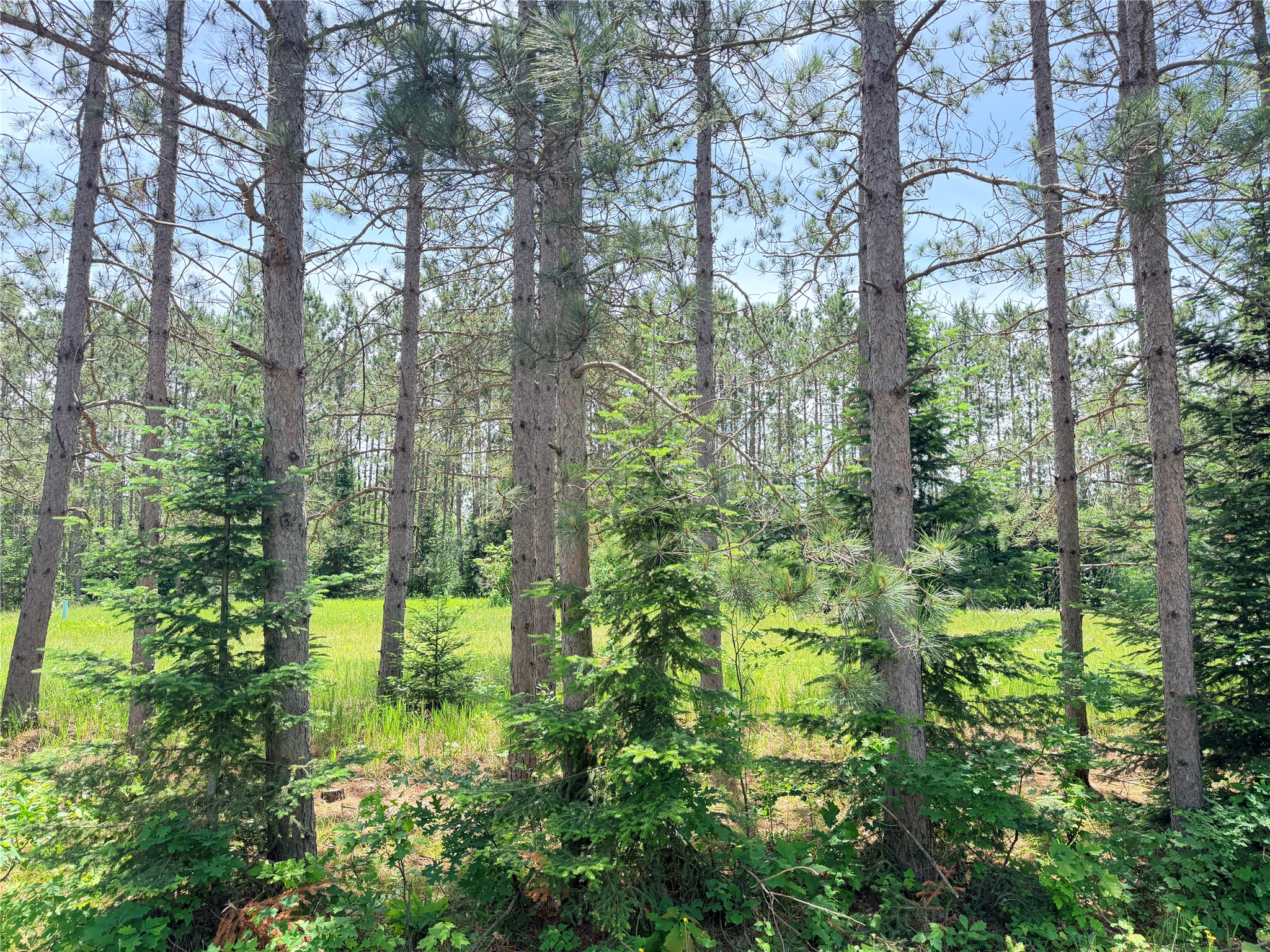 W11097 Boat Landing Road Property Photo 6