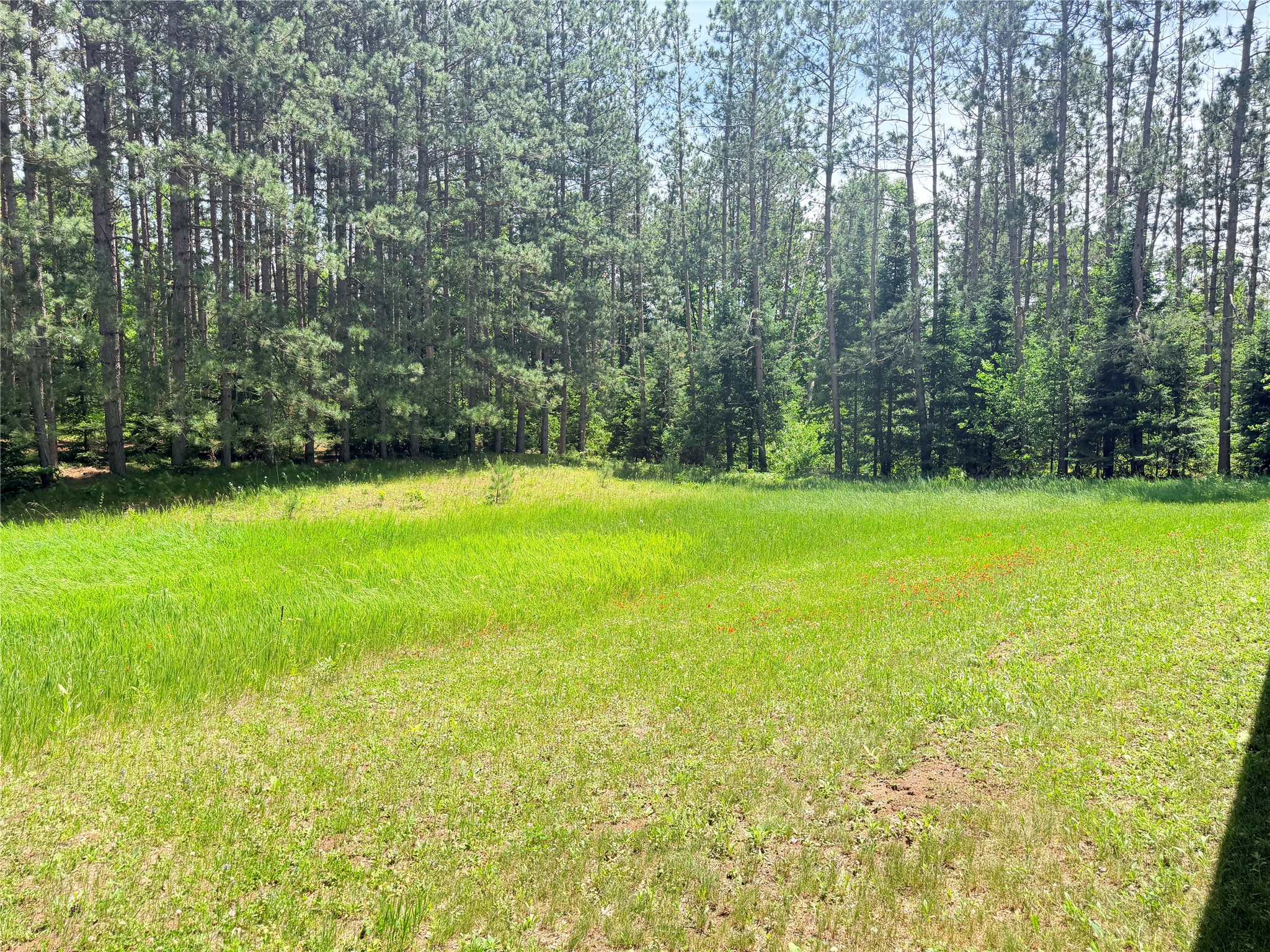 W11097 Boat Landing Road Property Photo 10