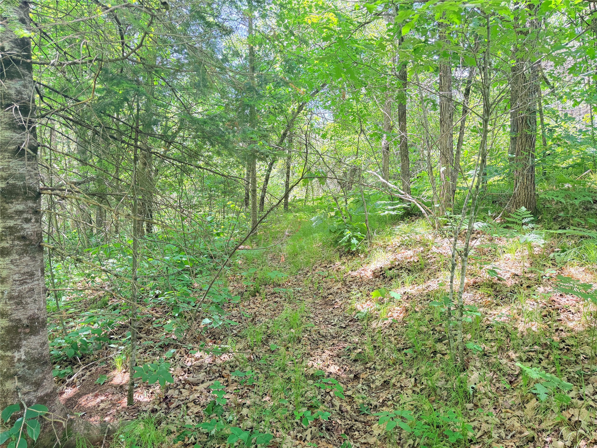 W11097 Boat Landing Road Property Photo 11
