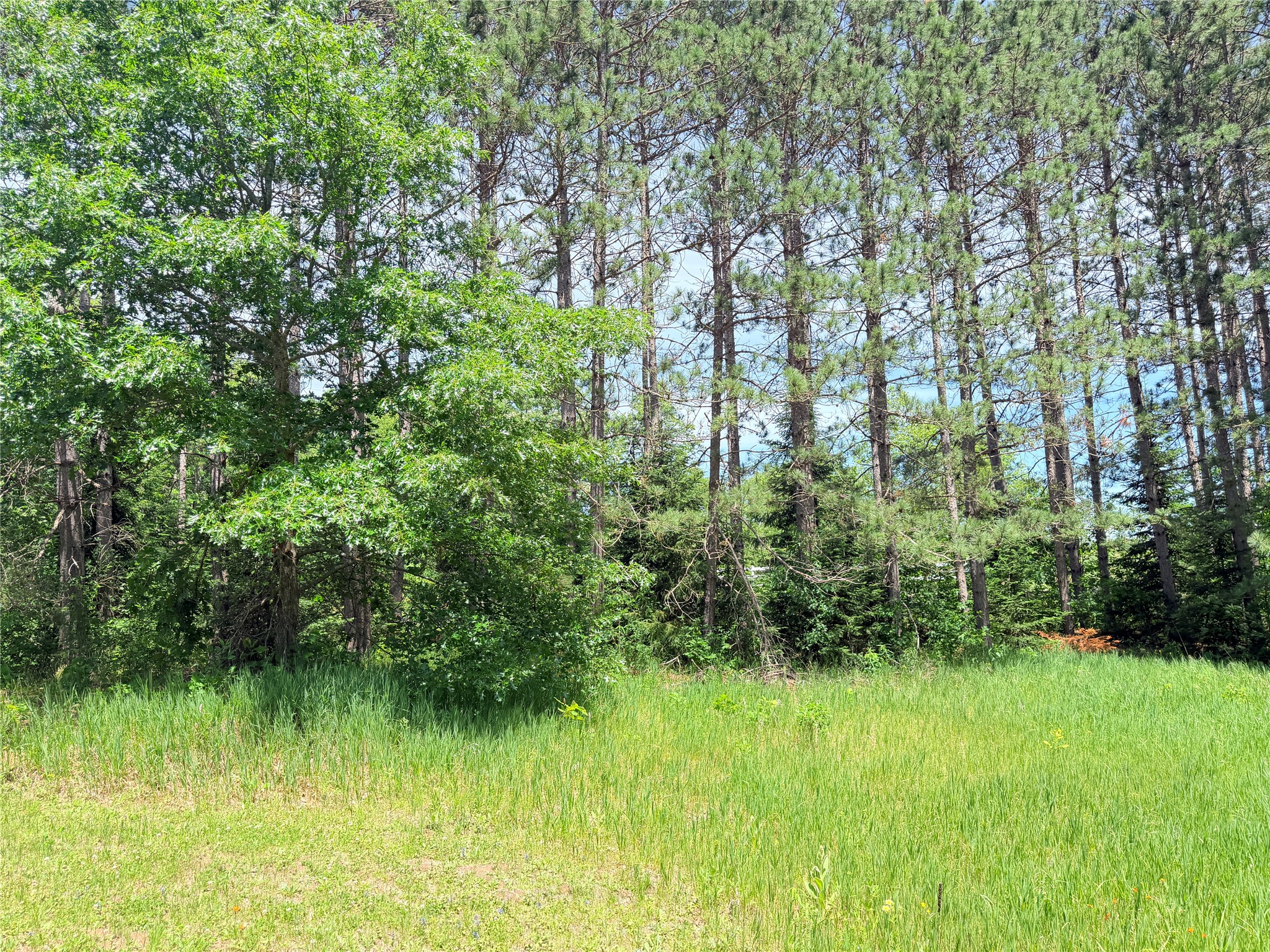 W11097 Boat Landing Road Property Photo 12