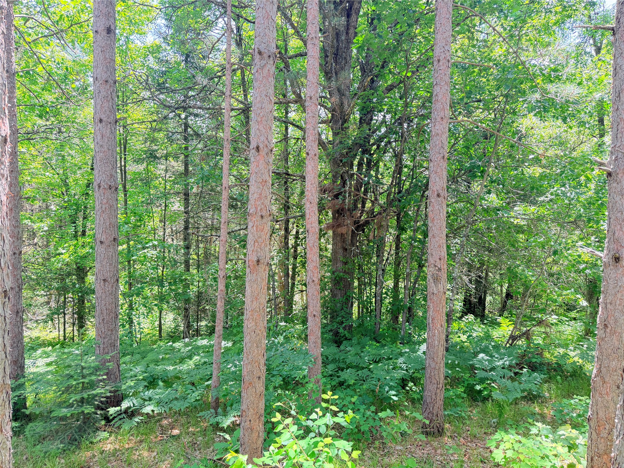 W11097 Boat Landing Road Property Photo 13