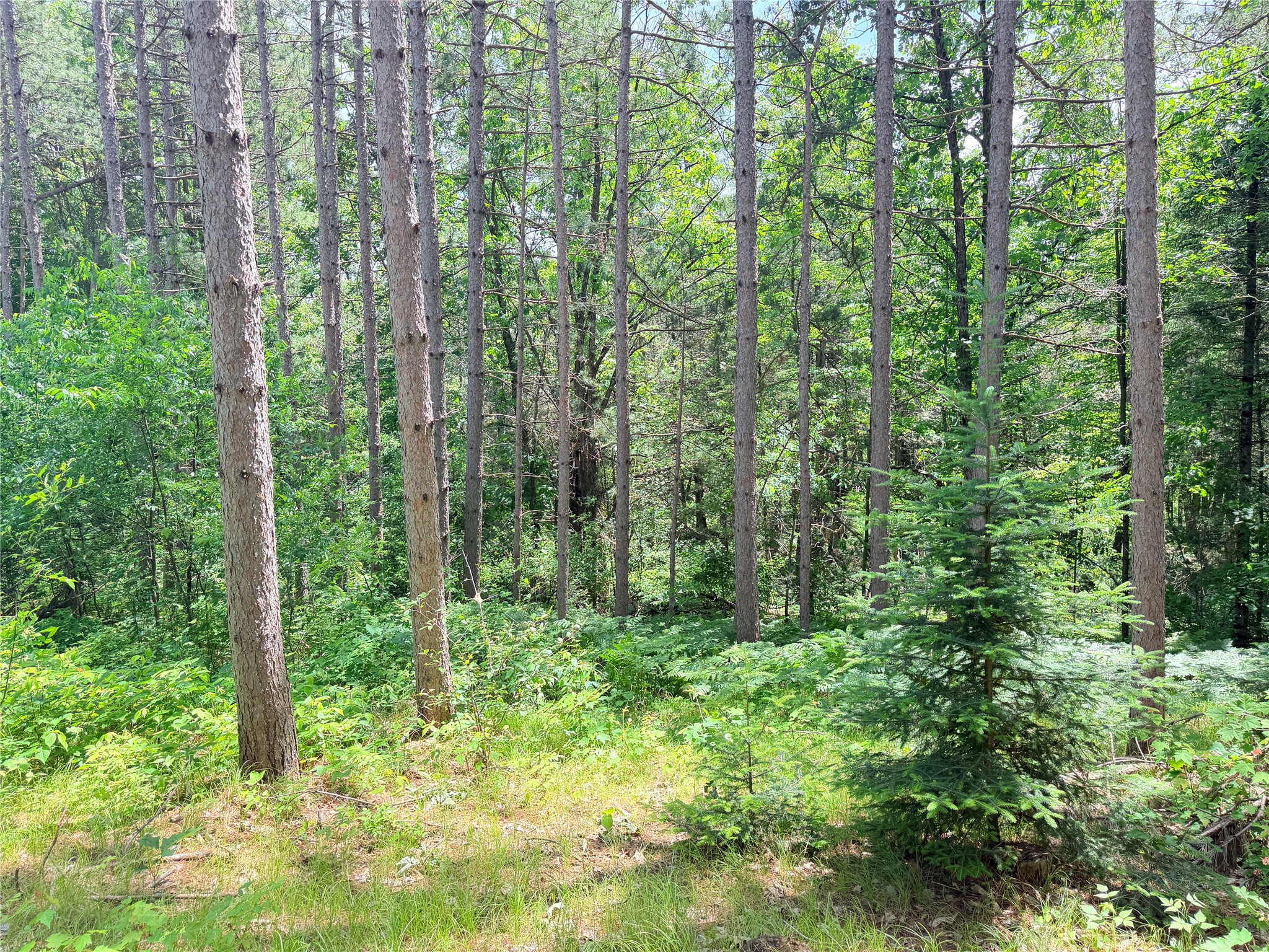 W11097 Boat Landing Road Property Photo 14