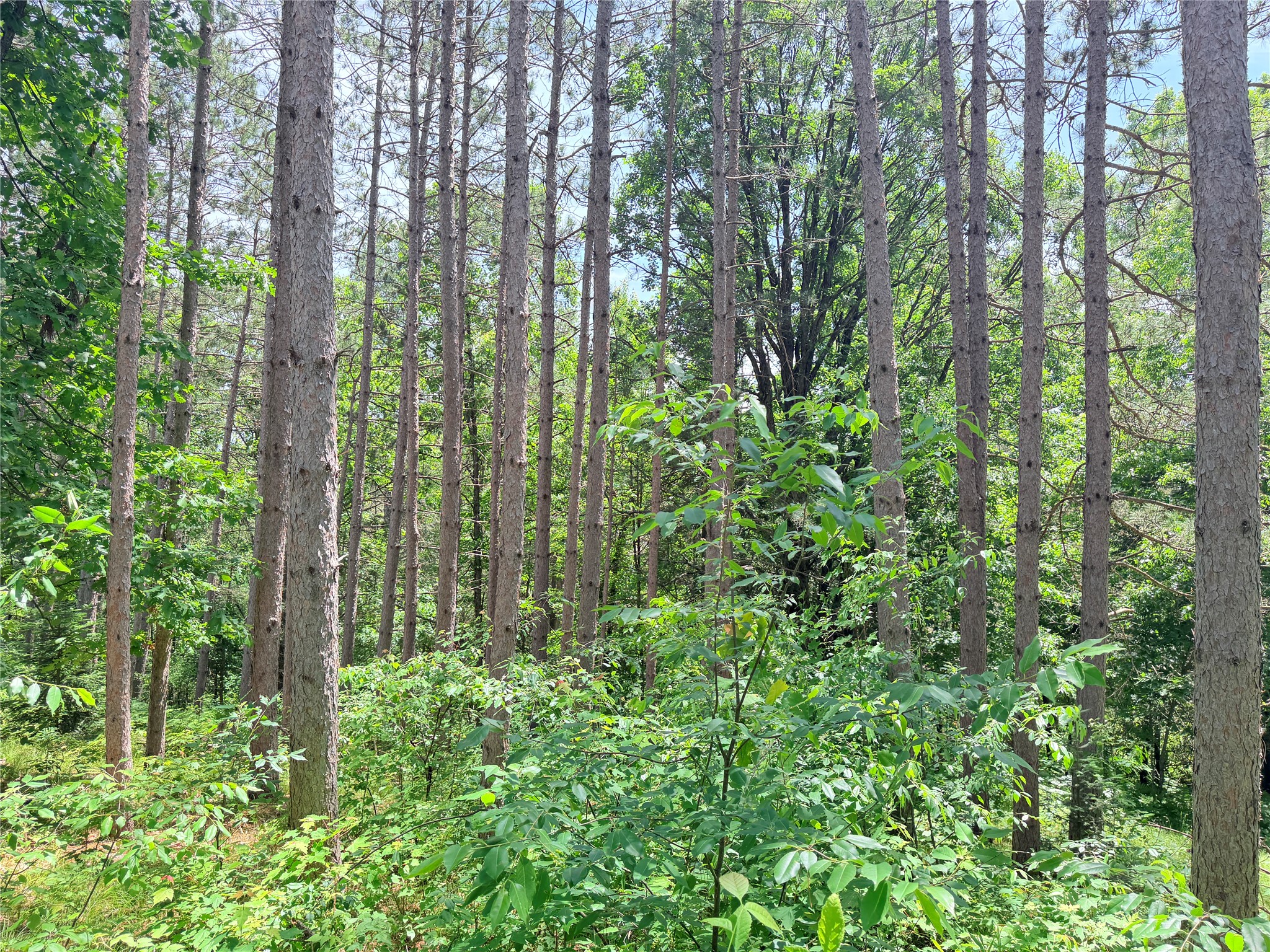 W11097 Boat Landing Road Property Photo 15