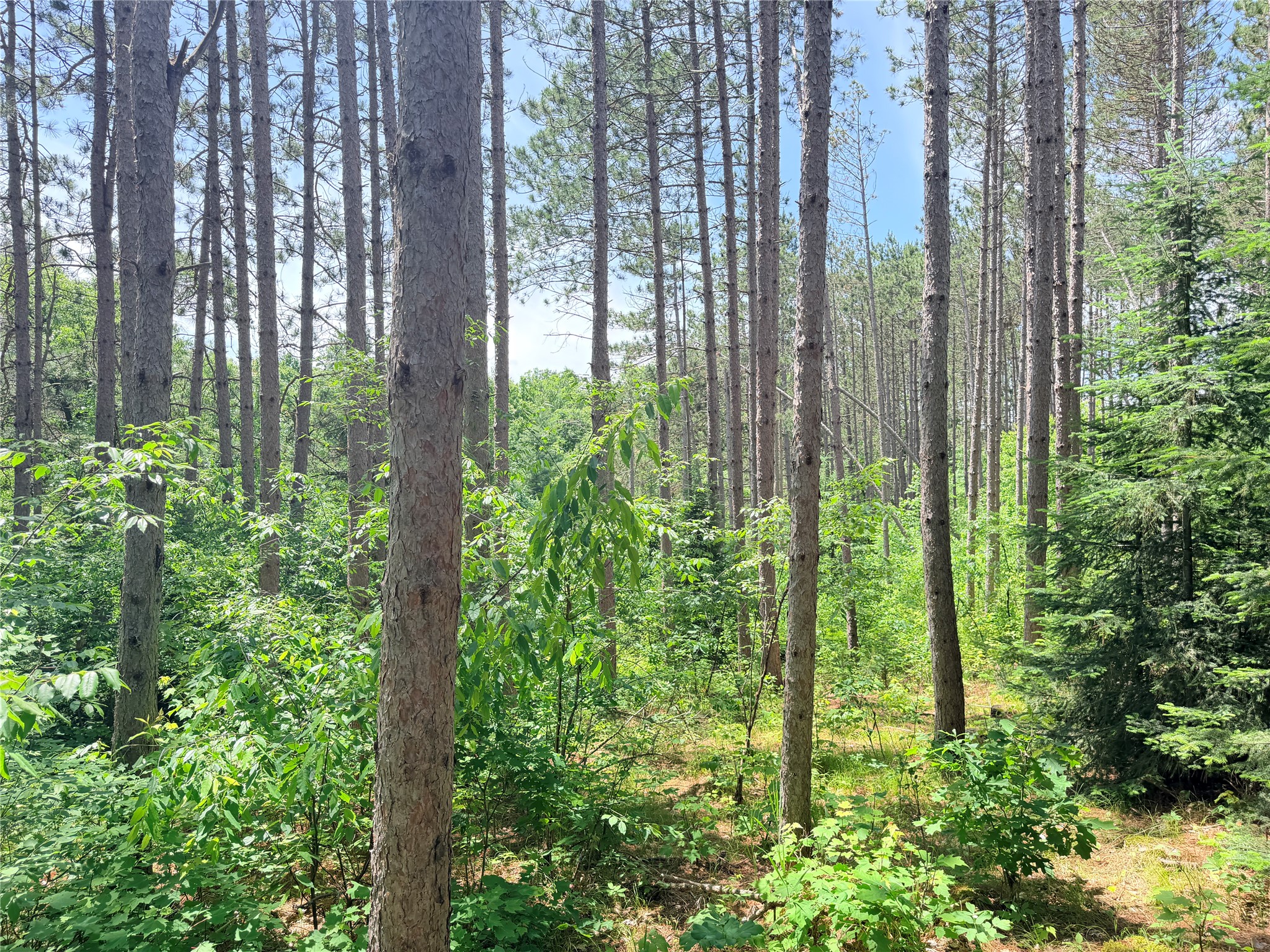 W11097 Boat Landing Road Property Photo 16