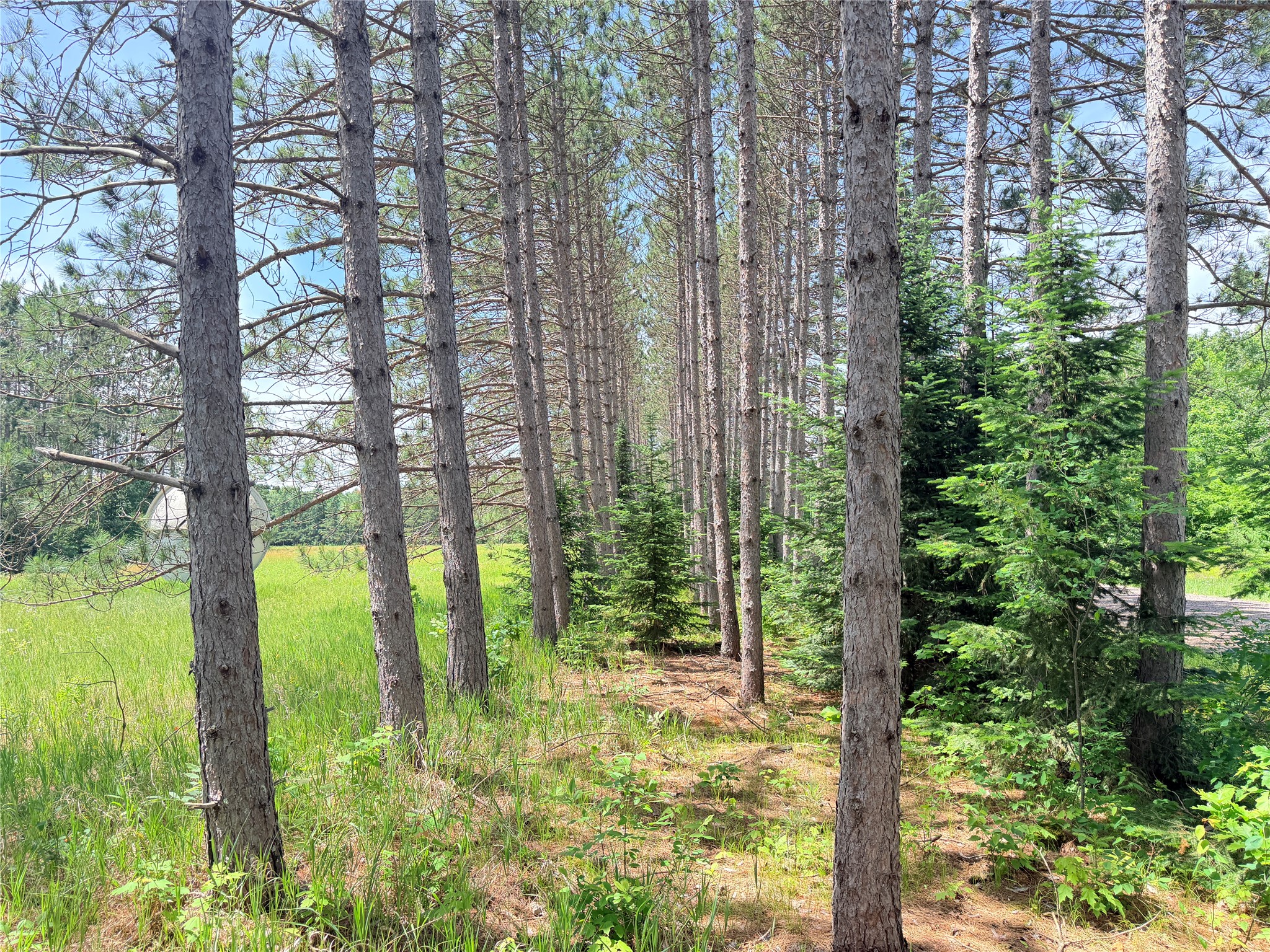 W11097 Boat Landing Road Property Photo 18