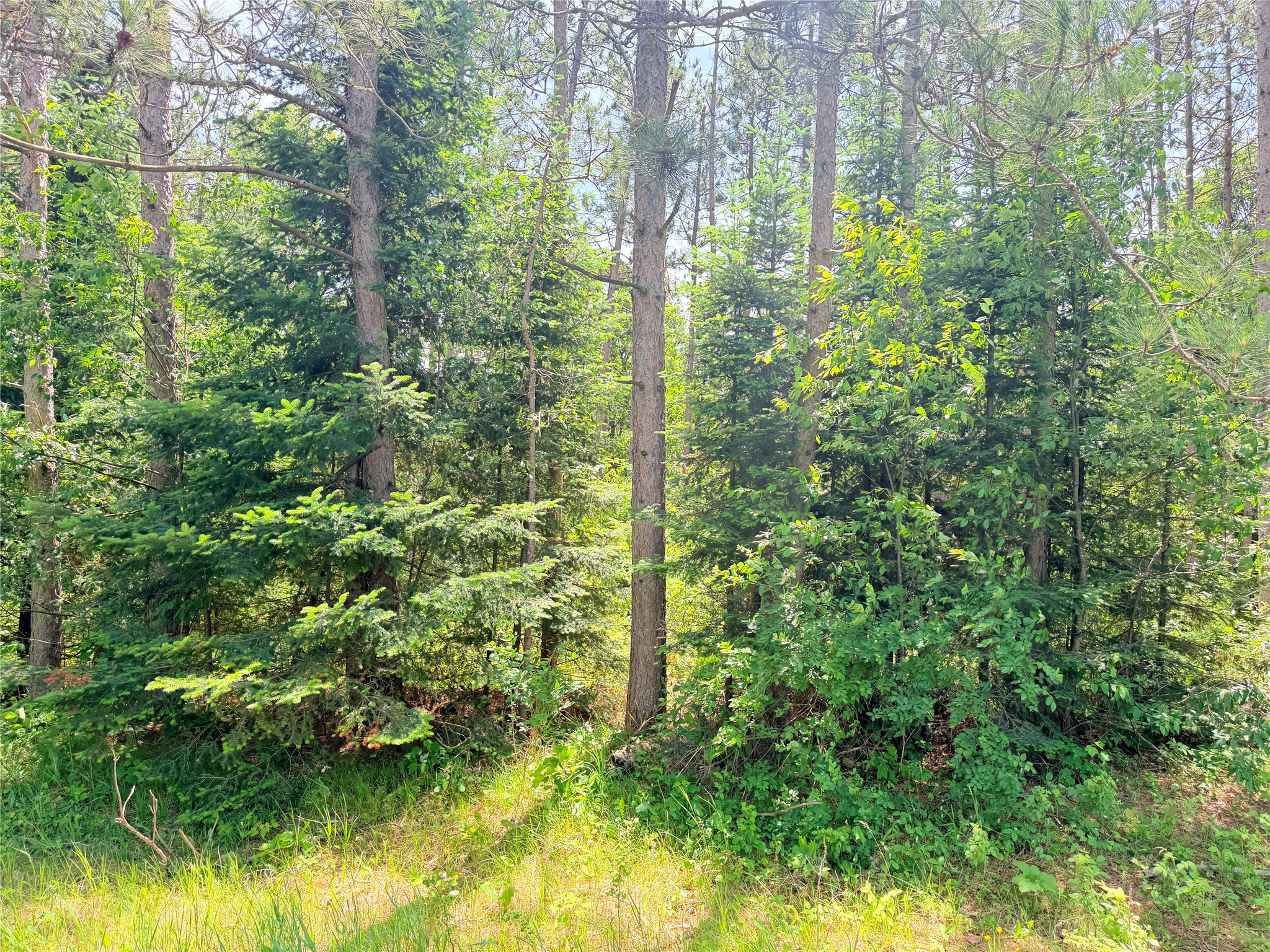 W11097 Boat Landing Road Property Photo 20