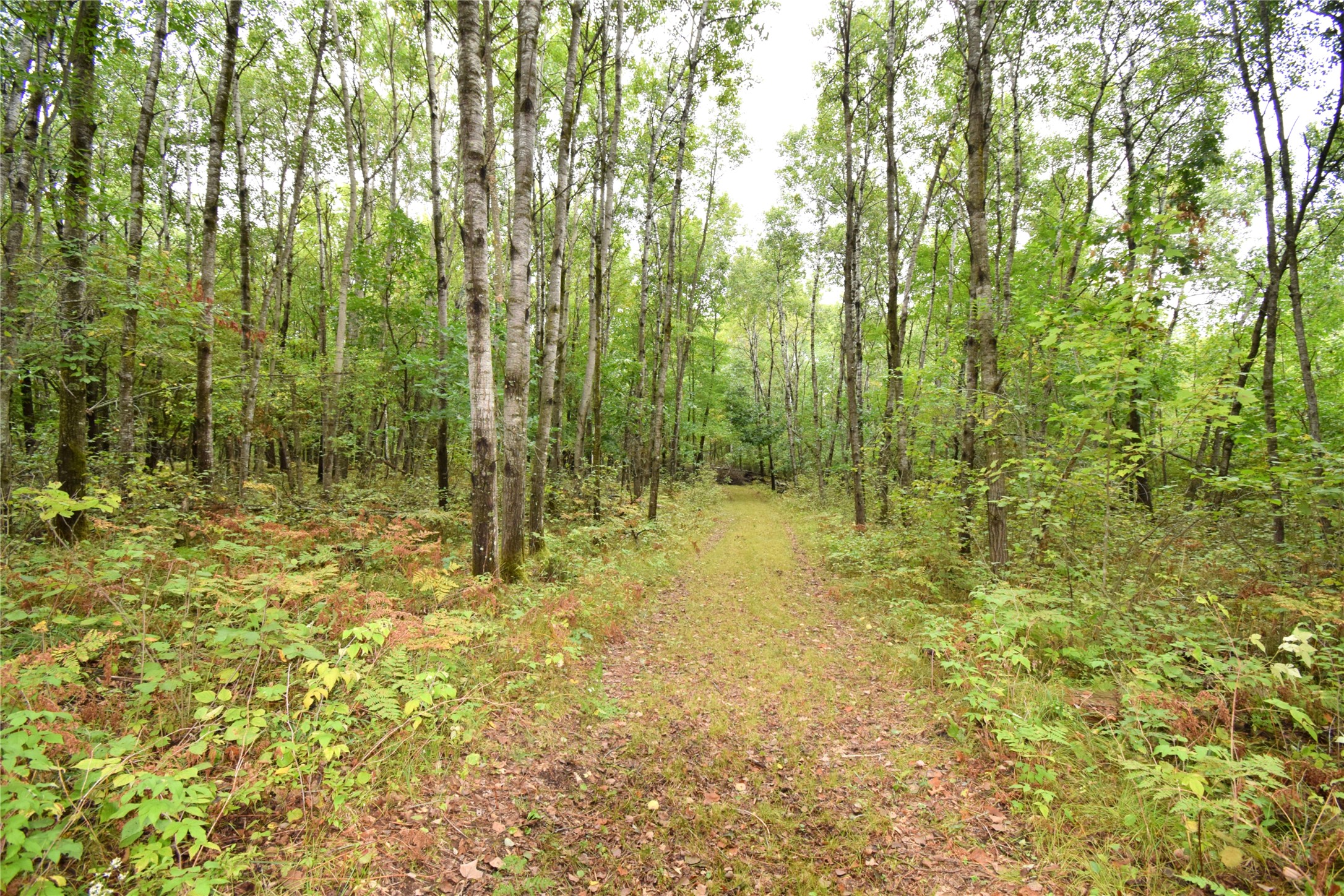 W9444 Dock Lake Road Property Photo 49