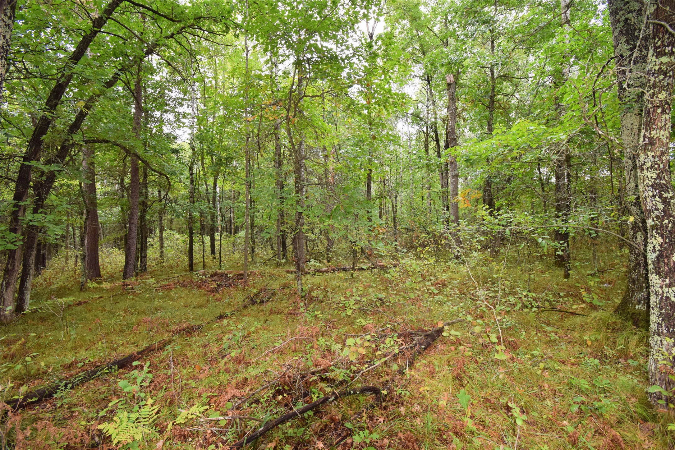 W9444 Dock Lake Road Property Photo 50