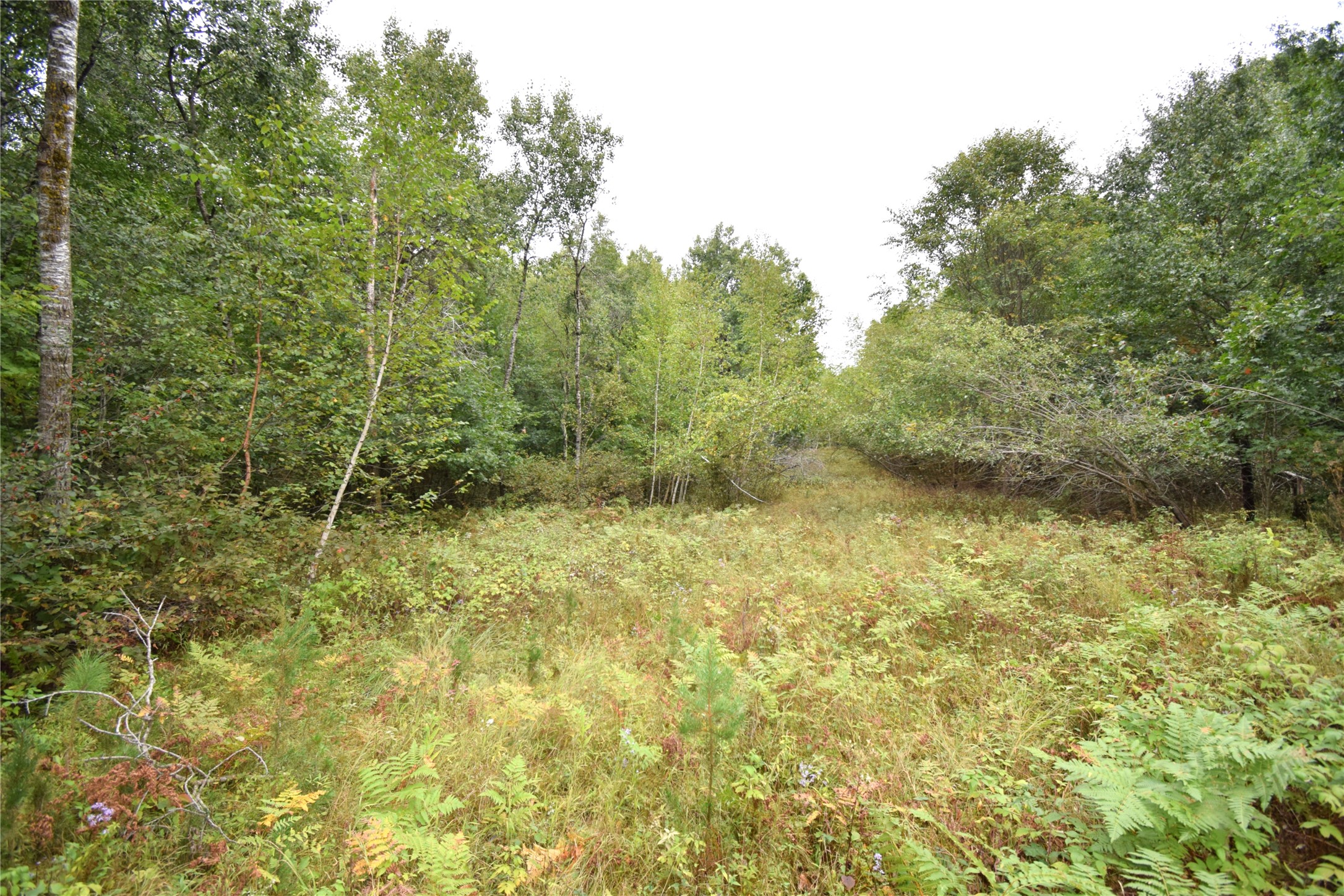 W9444 Dock Lake Road Property Photo 51