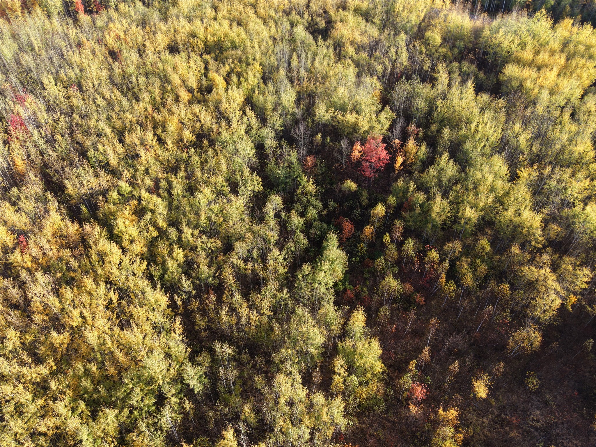 On County Highway W Property Photo 1