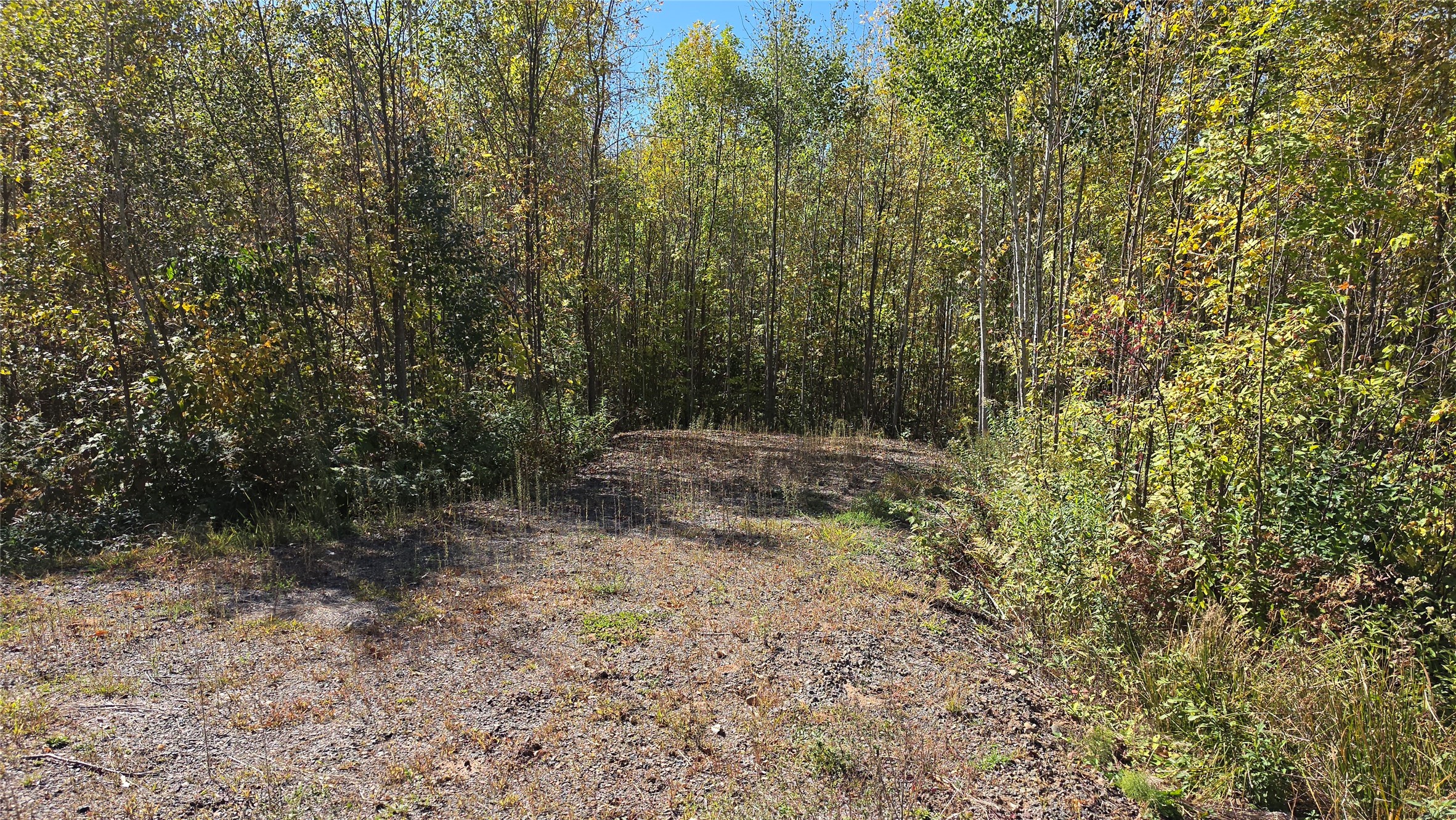 On County Highway W Property Photo 3