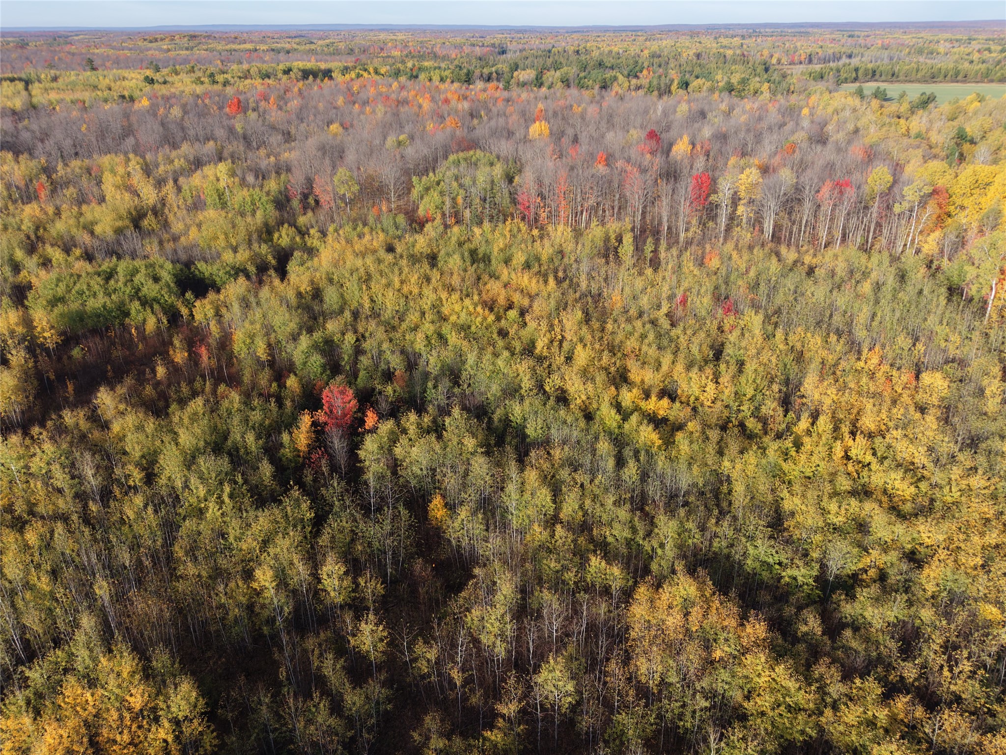 On County Highway W Property Photo 6