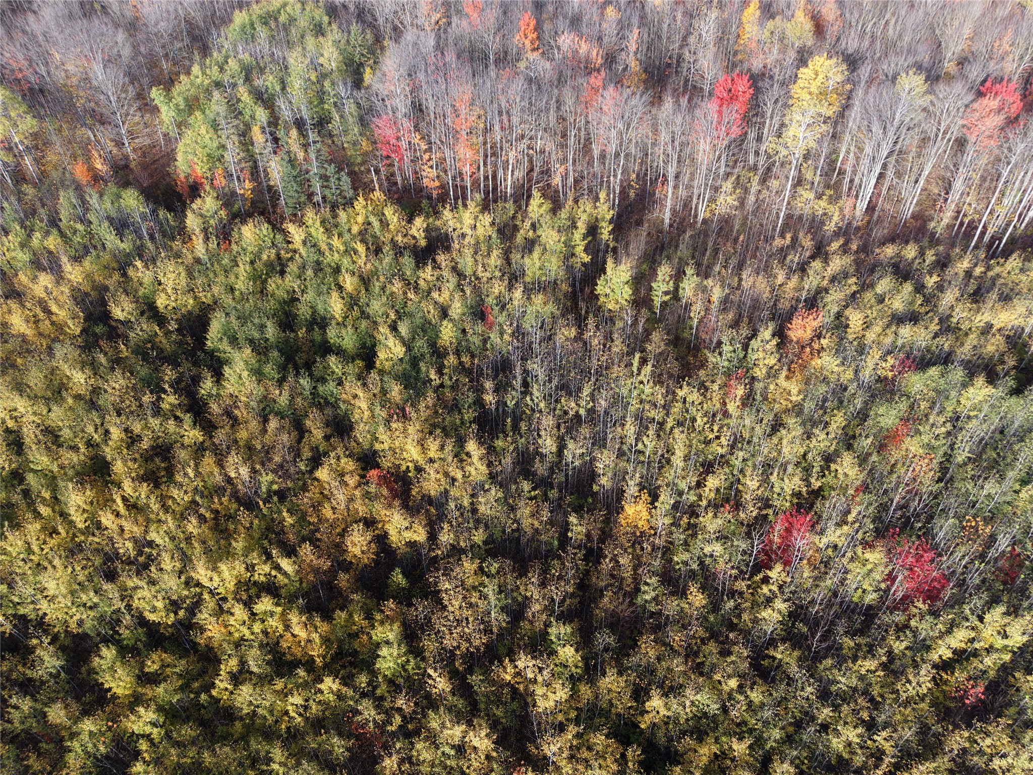 On County Highway W Property Photo 10