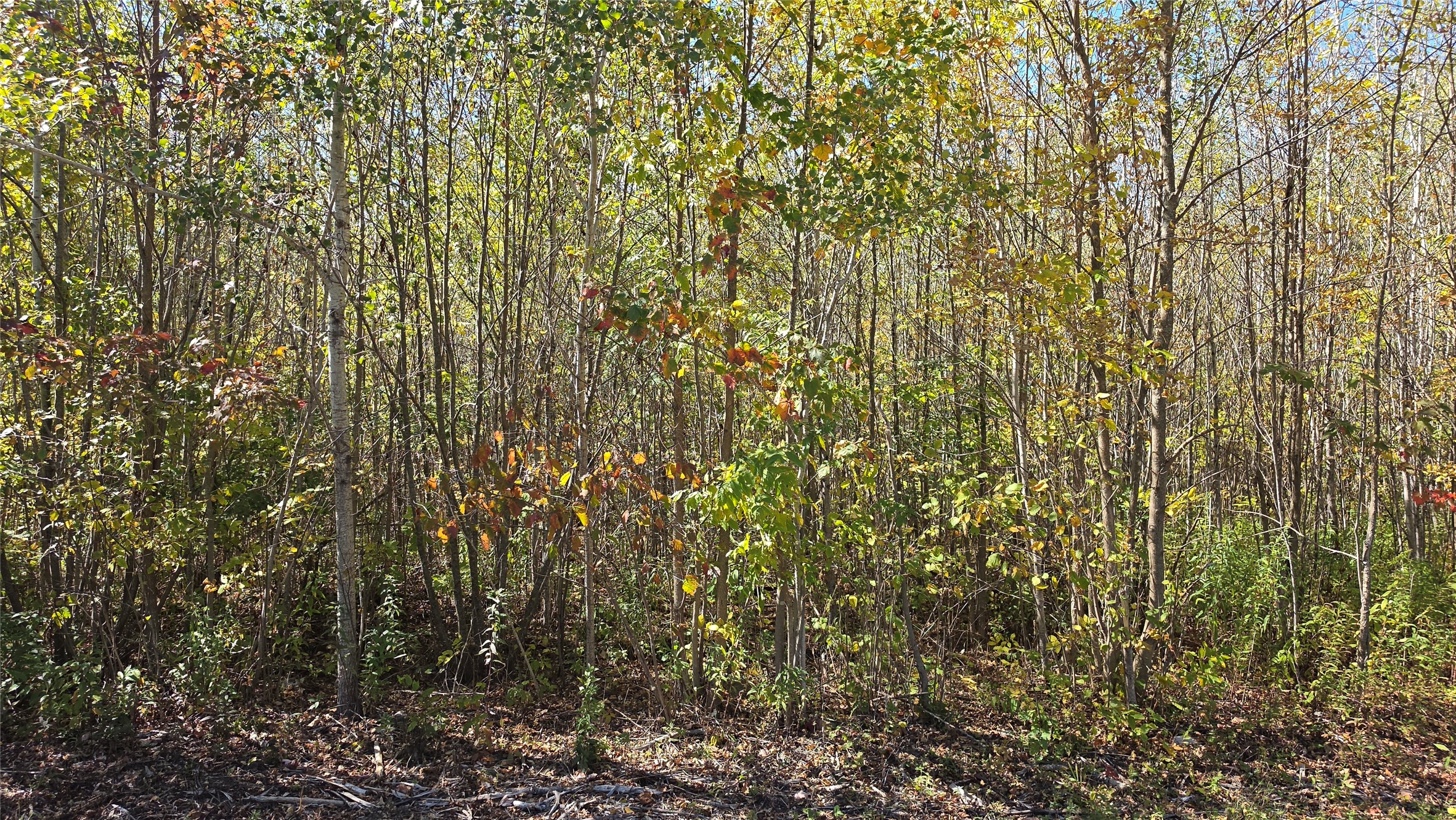 On County Highway W Property Photo 12