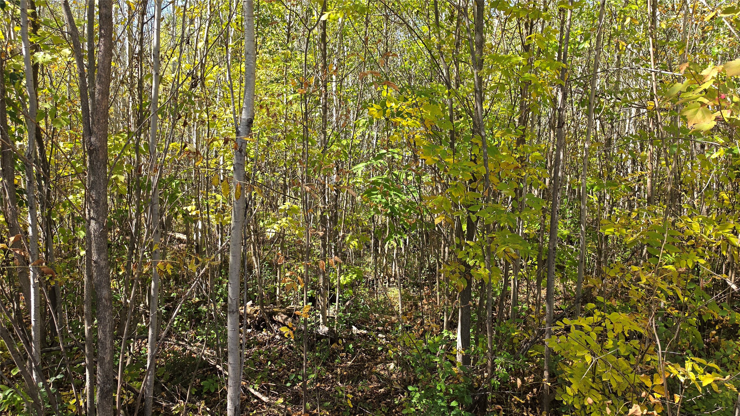On County Highway W Property Photo 14