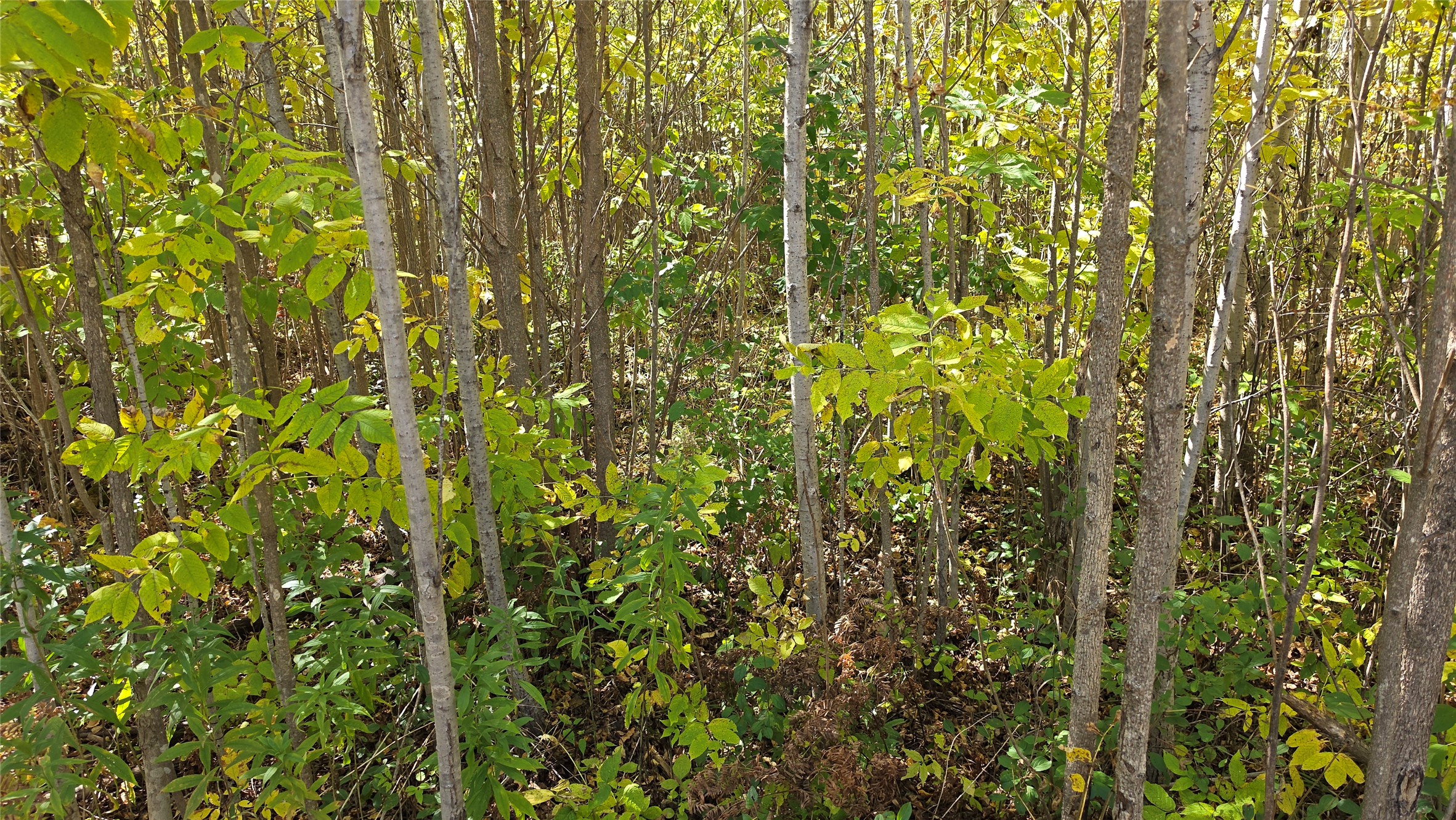On County Highway W Property Photo 15