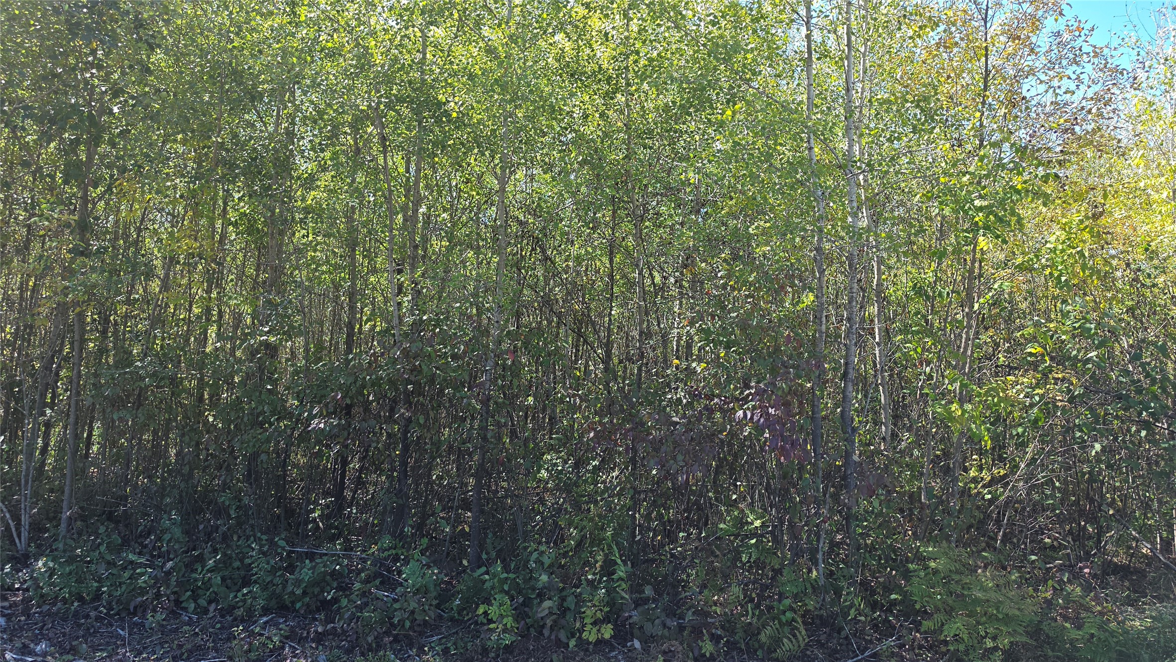 On County Highway W Property Photo 16