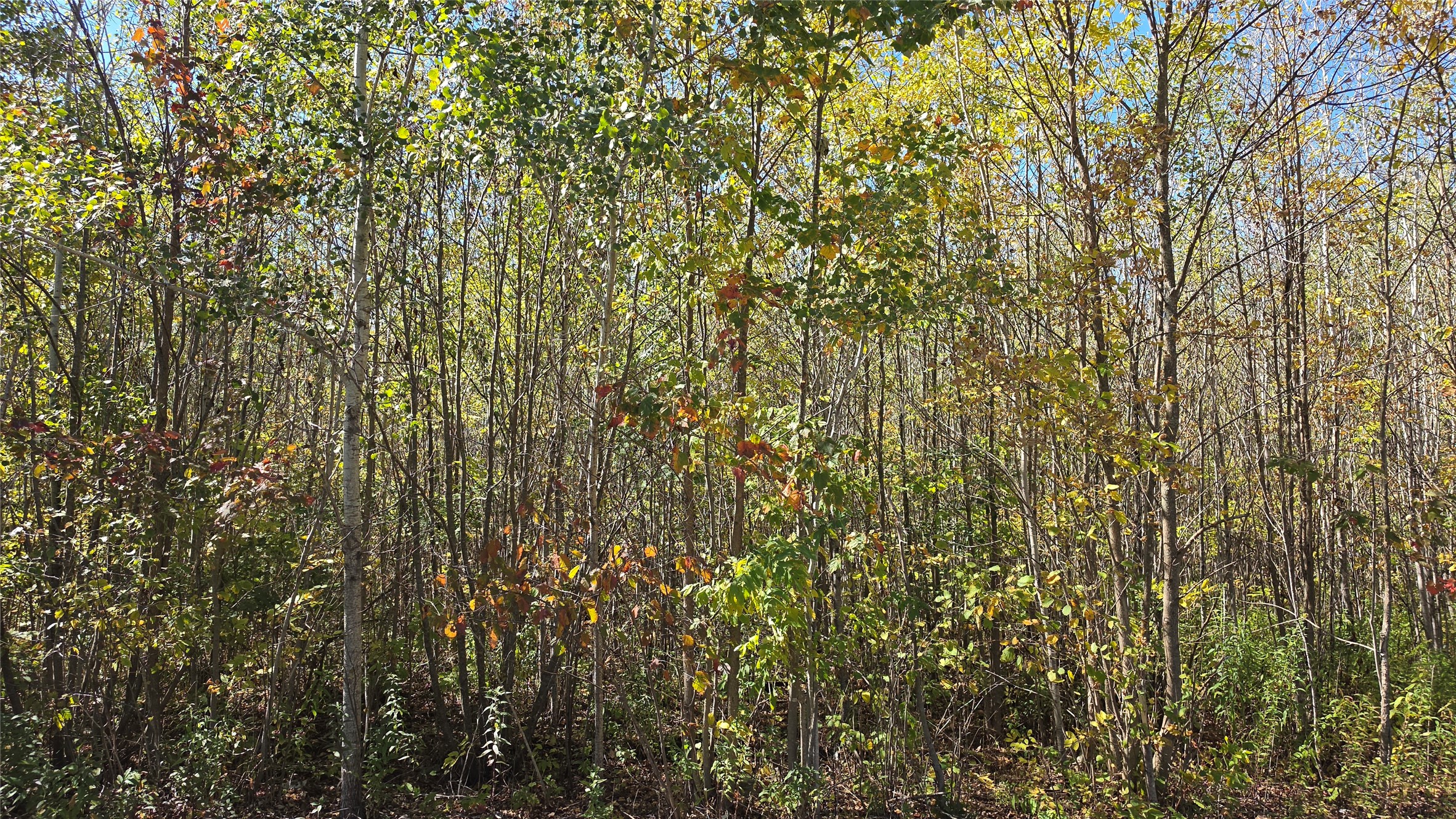 On County Highway W Property Photo 17