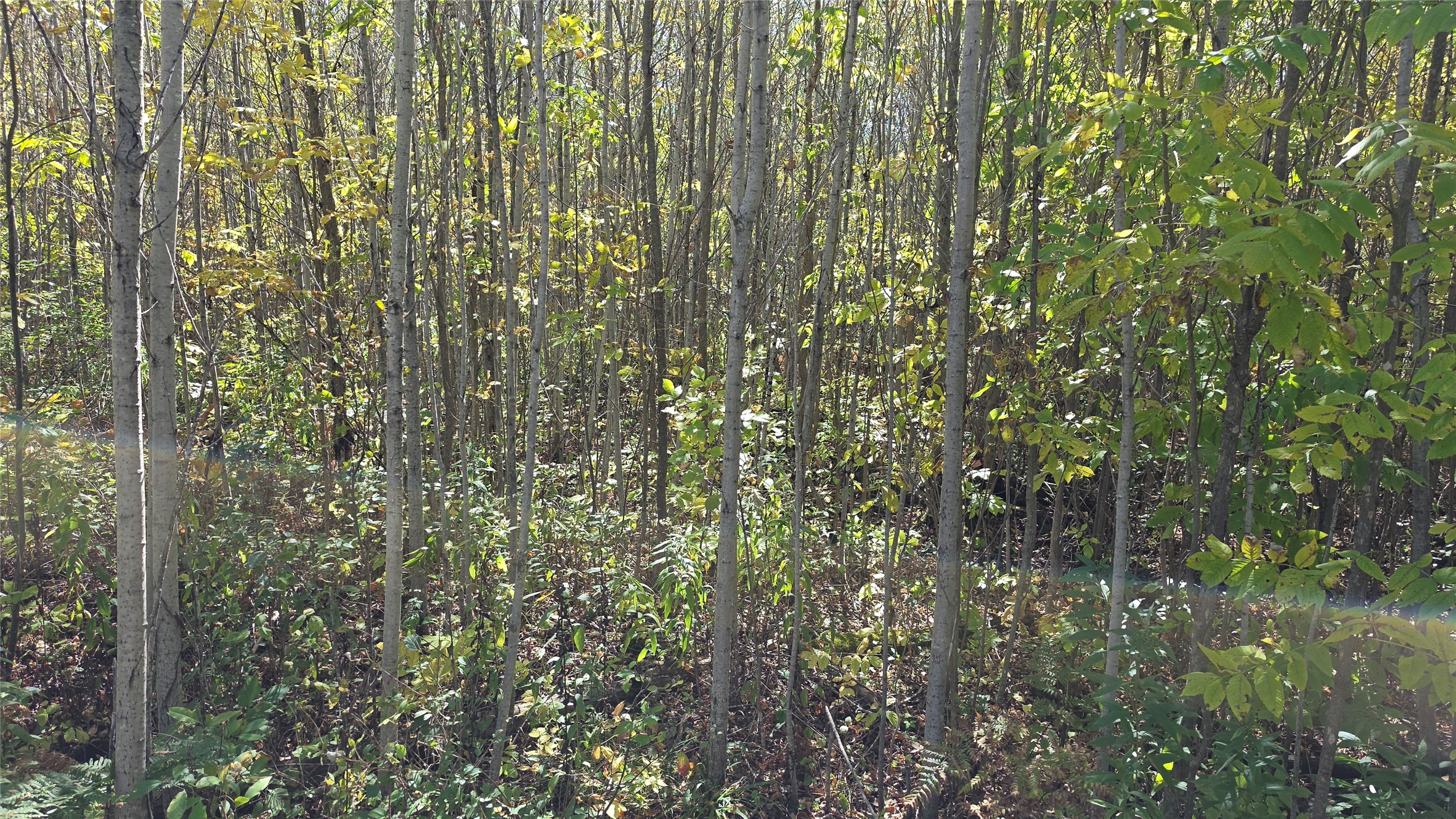 On County Highway W Property Photo 18