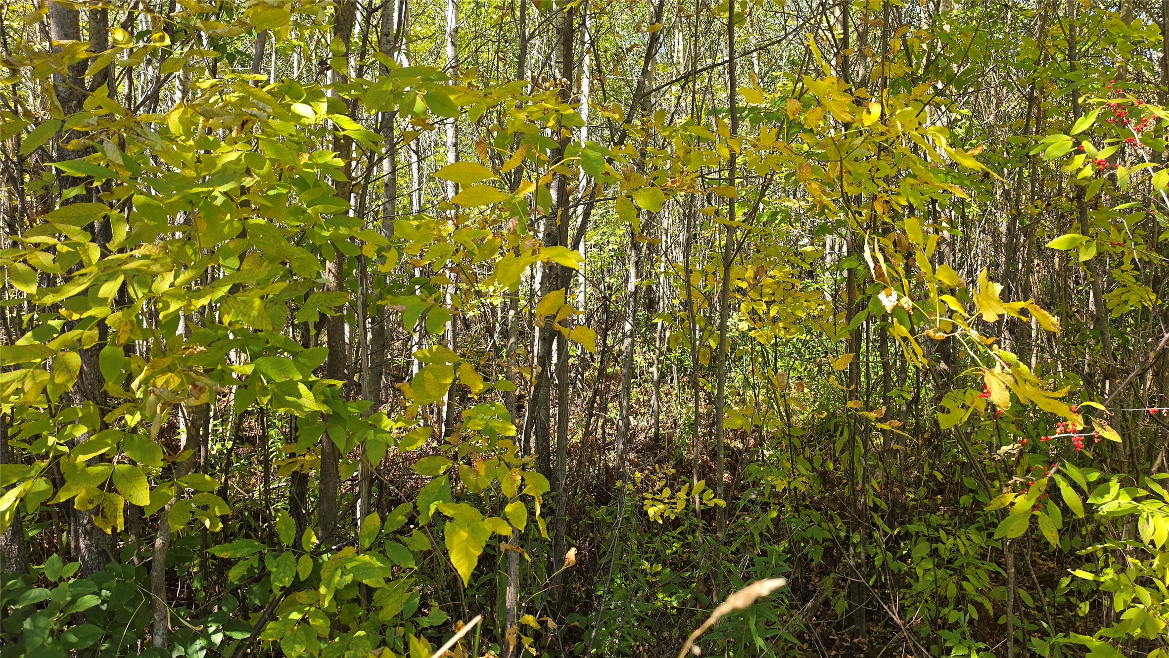 On County Highway W Property Photo 19
