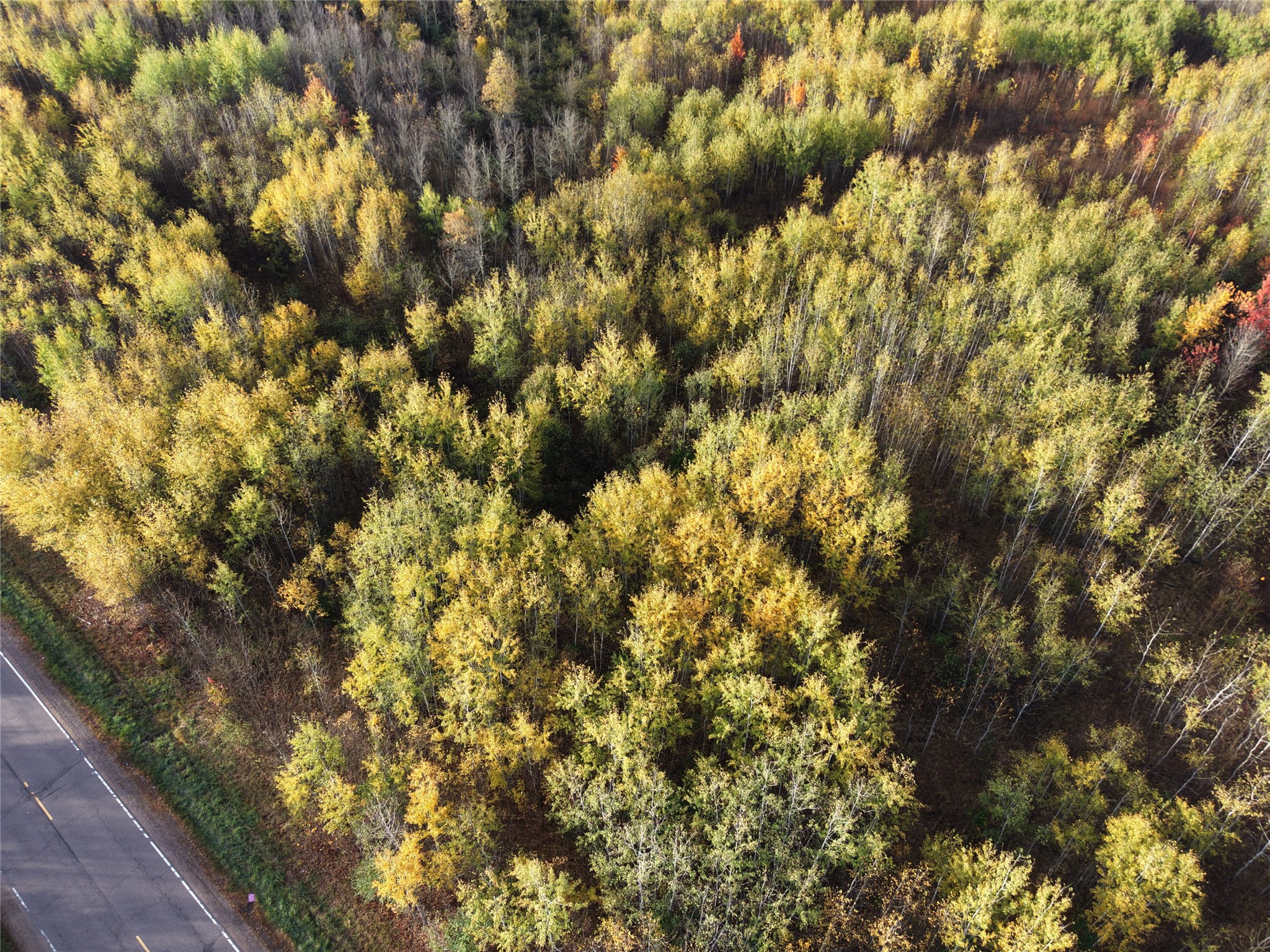 On County Highway W Property Photo 21