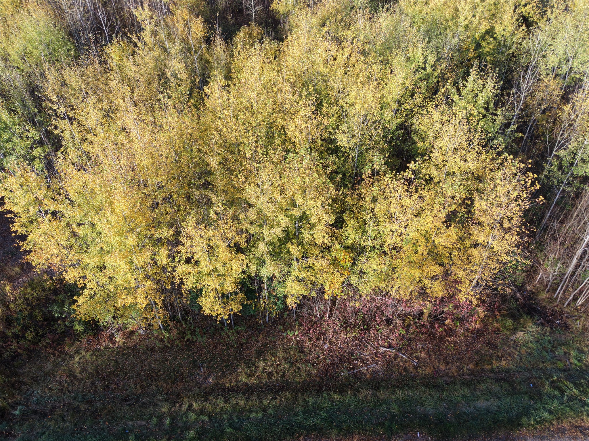 On County Highway W Property Photo 24
