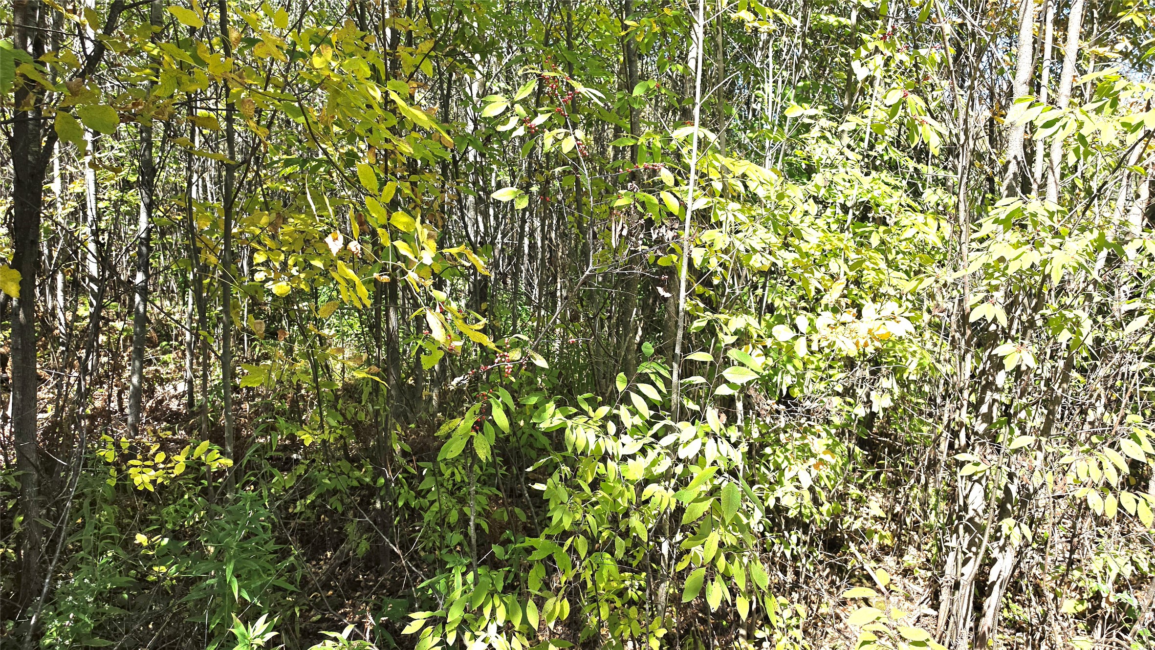 On County Highway W Property Photo 25