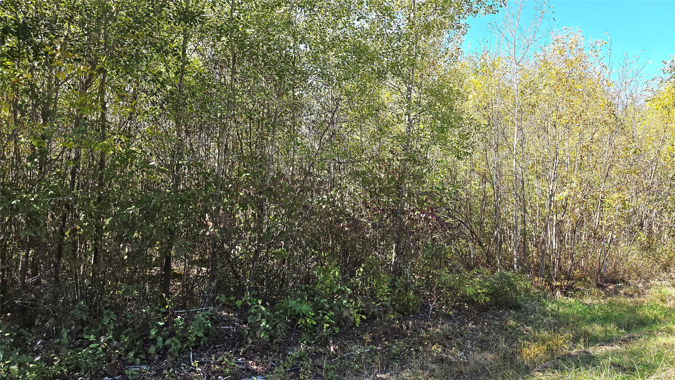 On County Highway W Property Photo 26